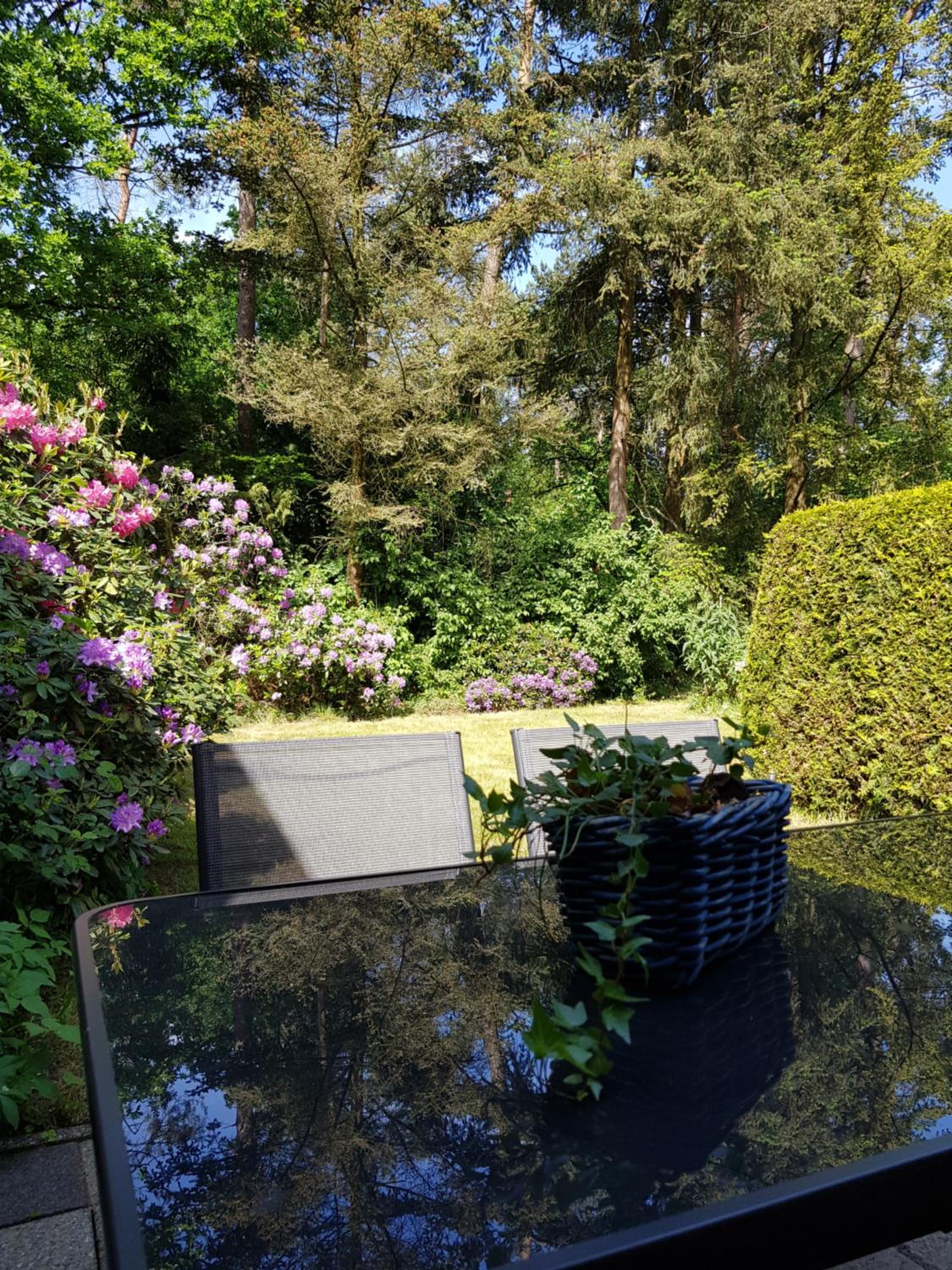 Bungalow Hartje Veluwe view 5
