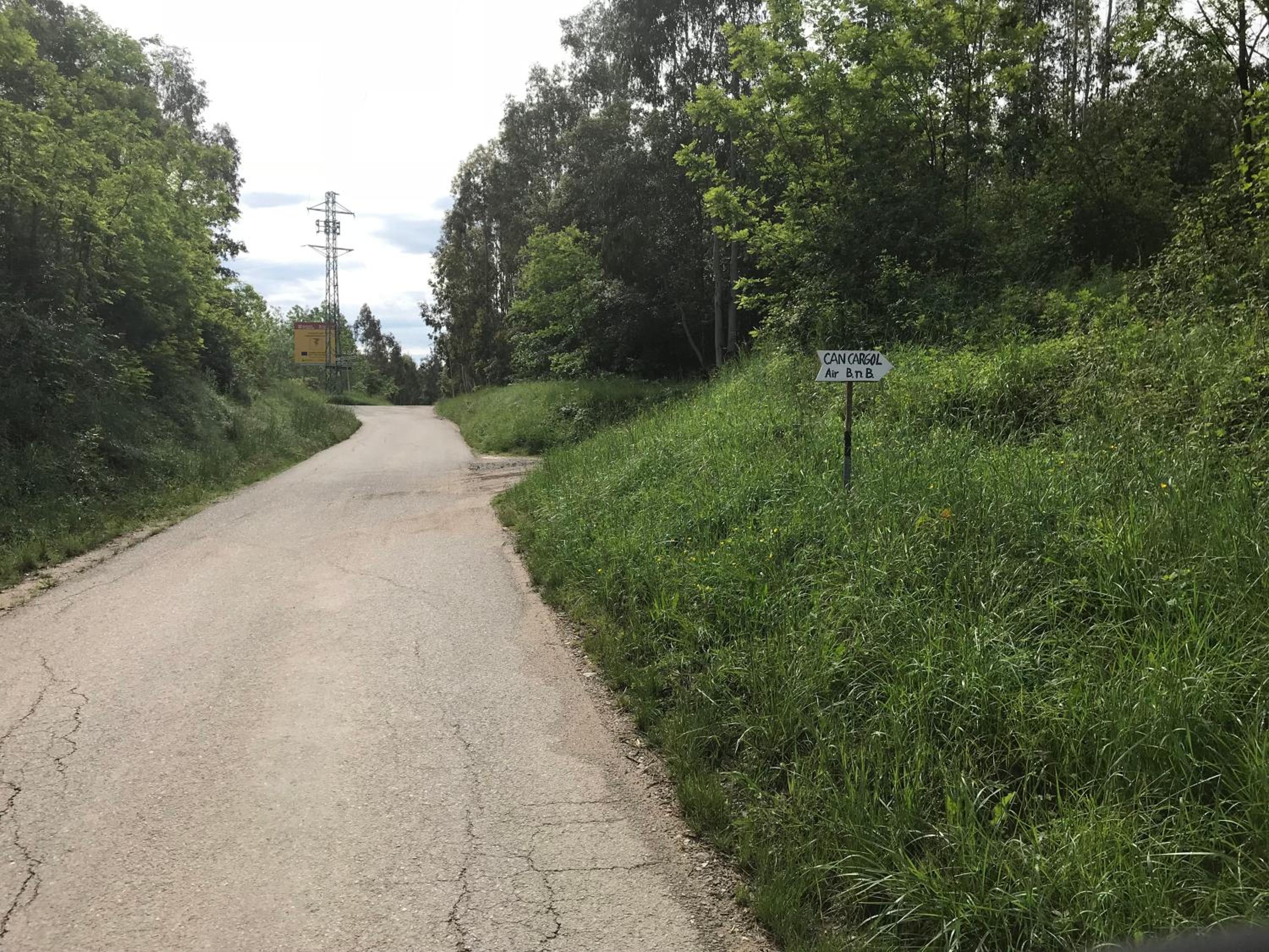 Photo 36