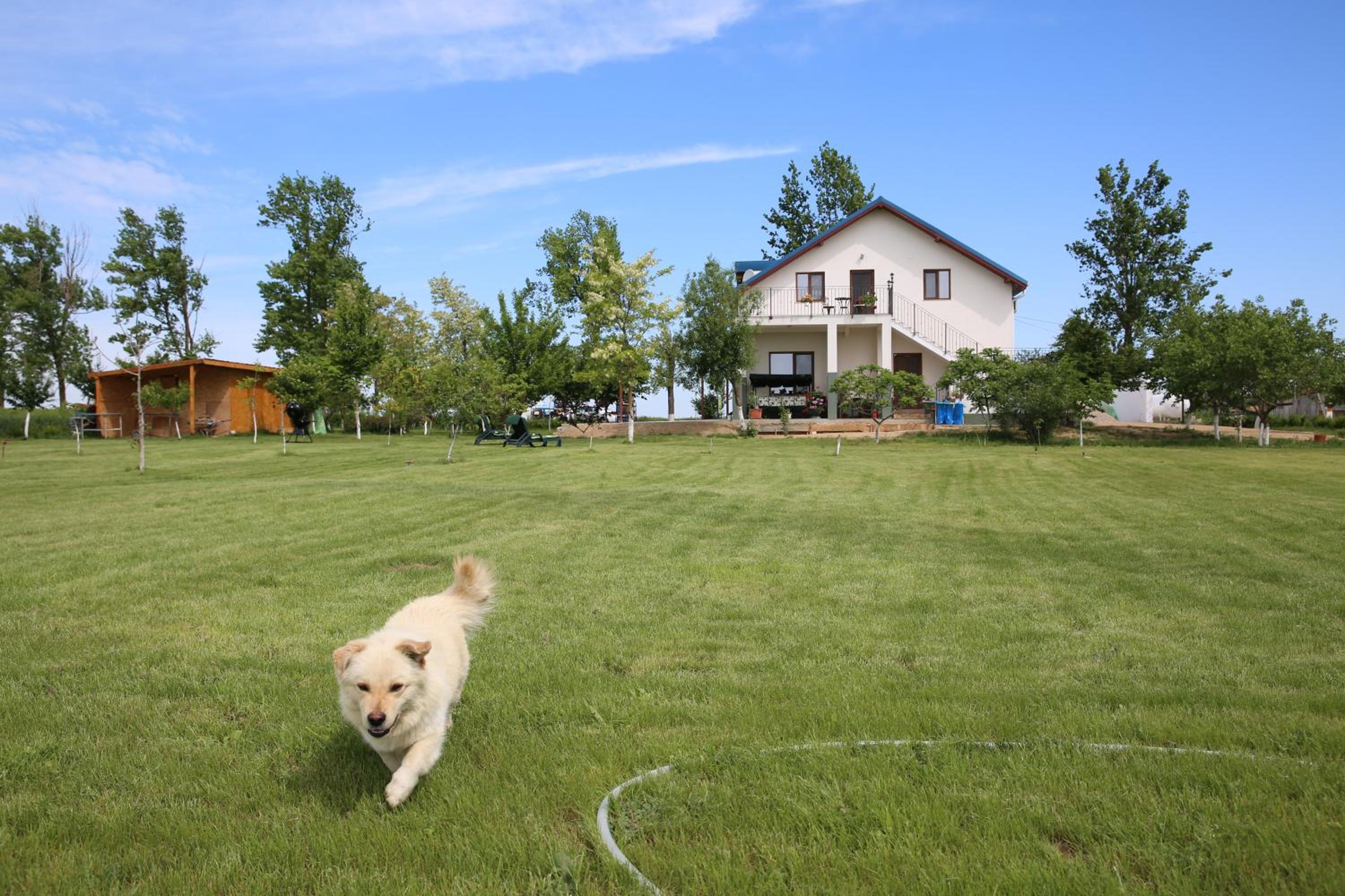 Photo 27