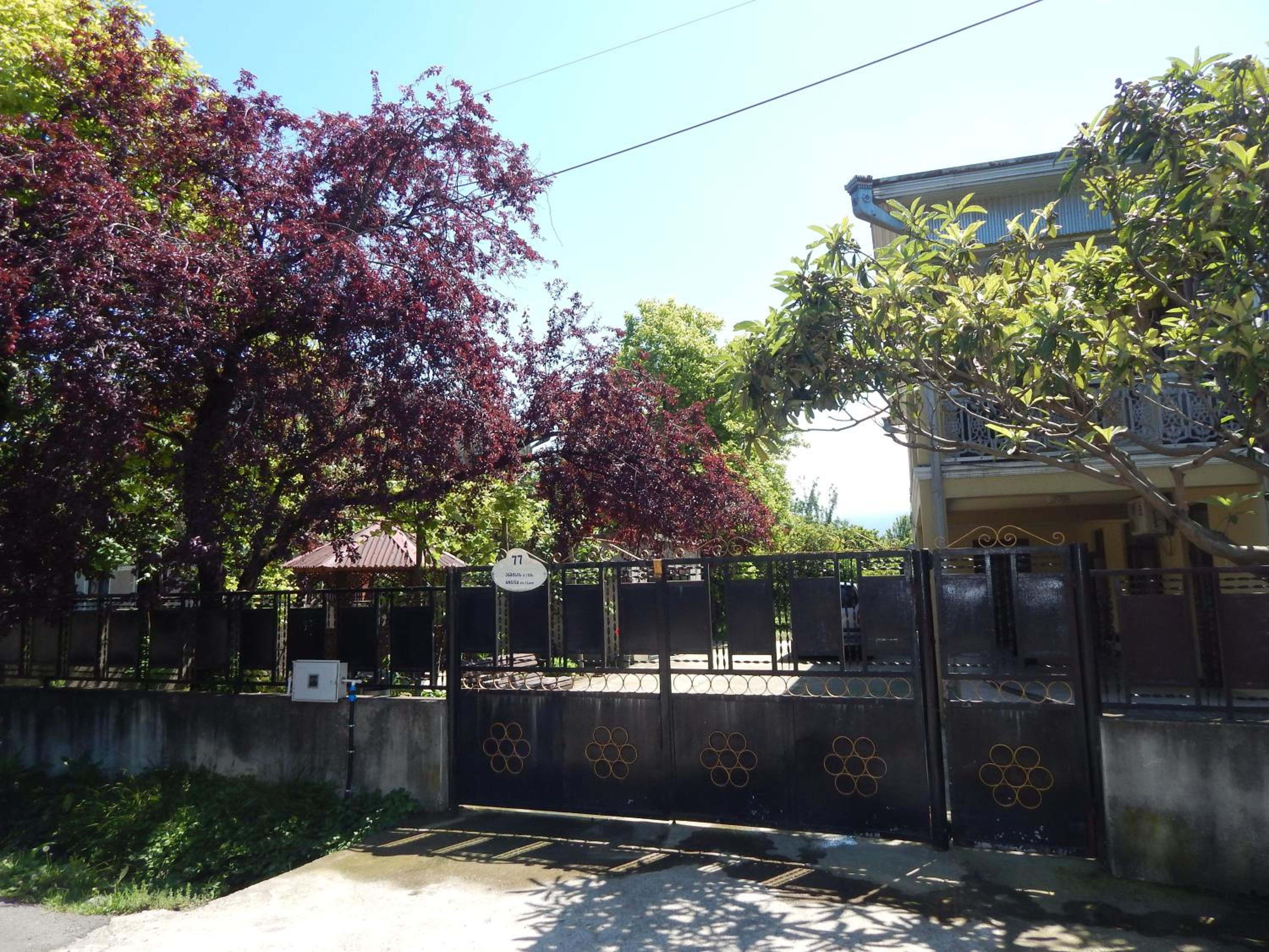 Photo 15