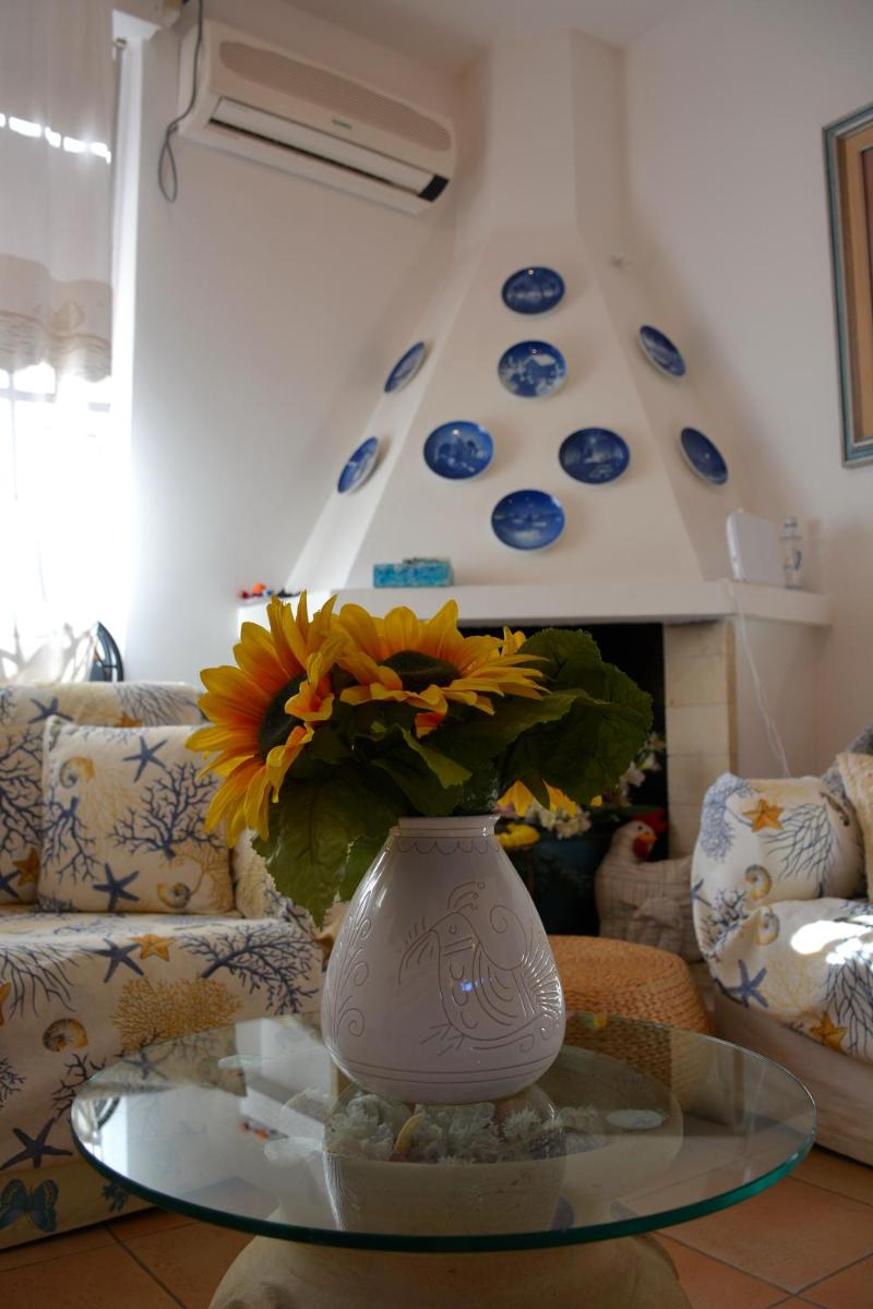 Sofica's House photo 5