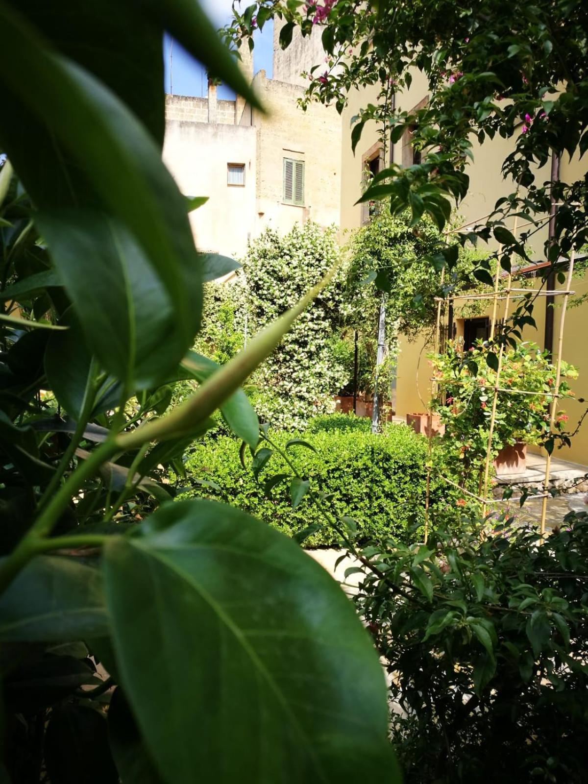 Photo 28