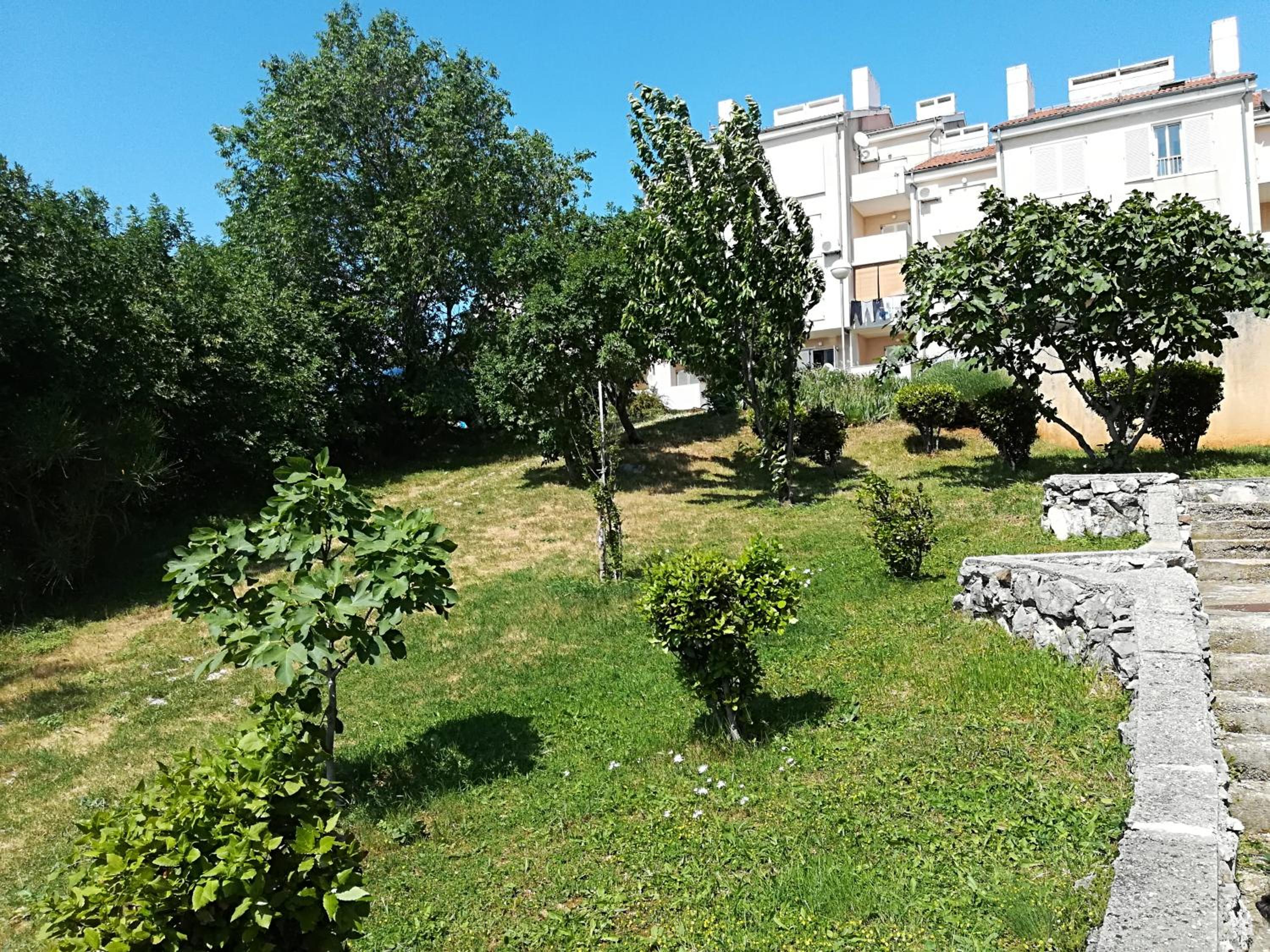 Apartman Darko view 3