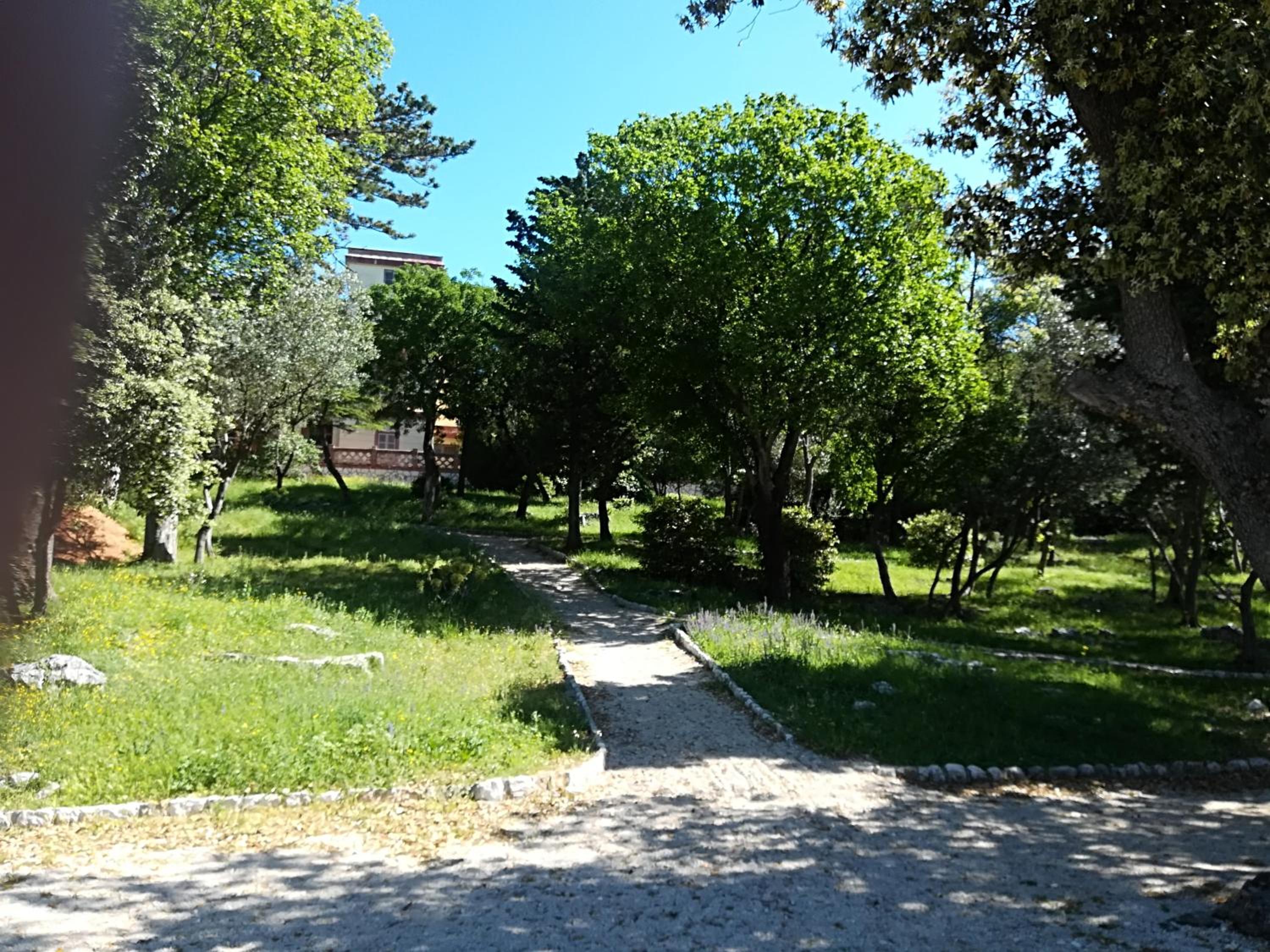 Apartman Darko view 5