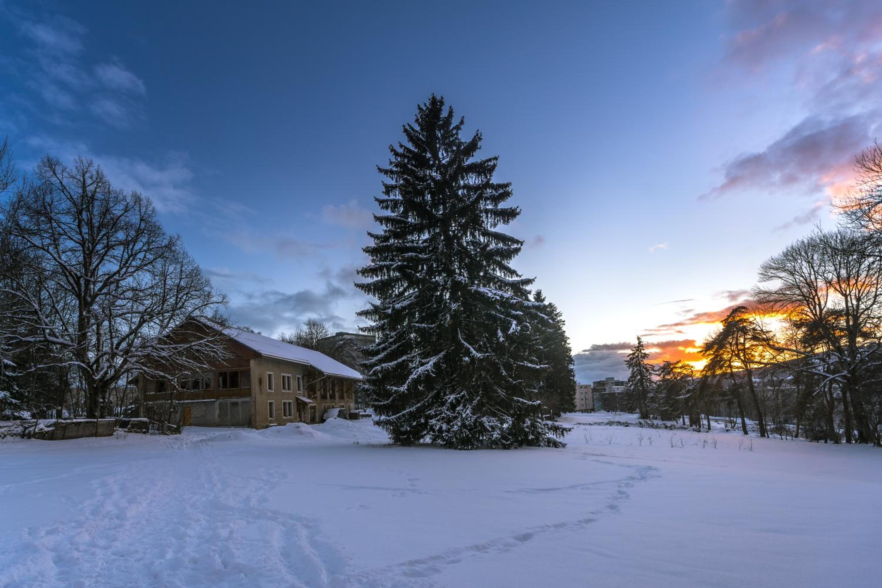 La Ferme des Arêtes