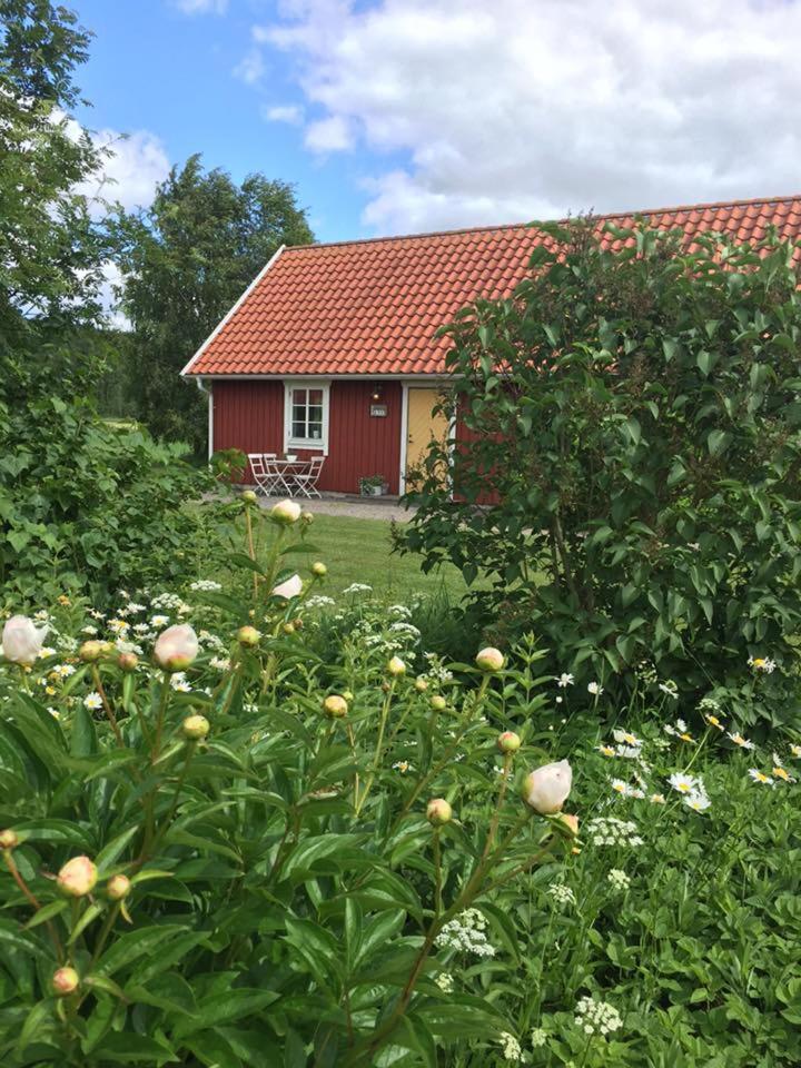 Photo 26