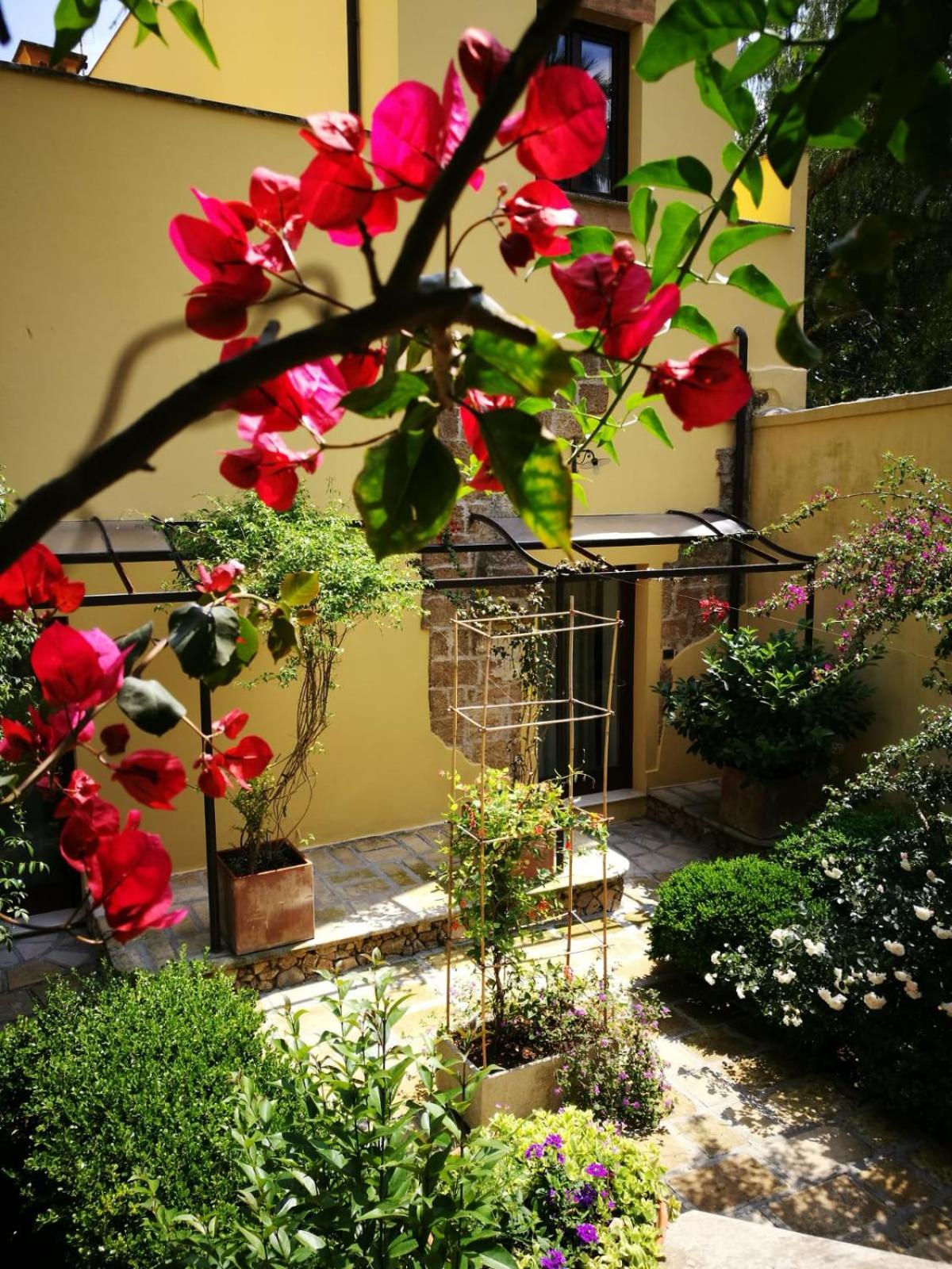 Photo 26