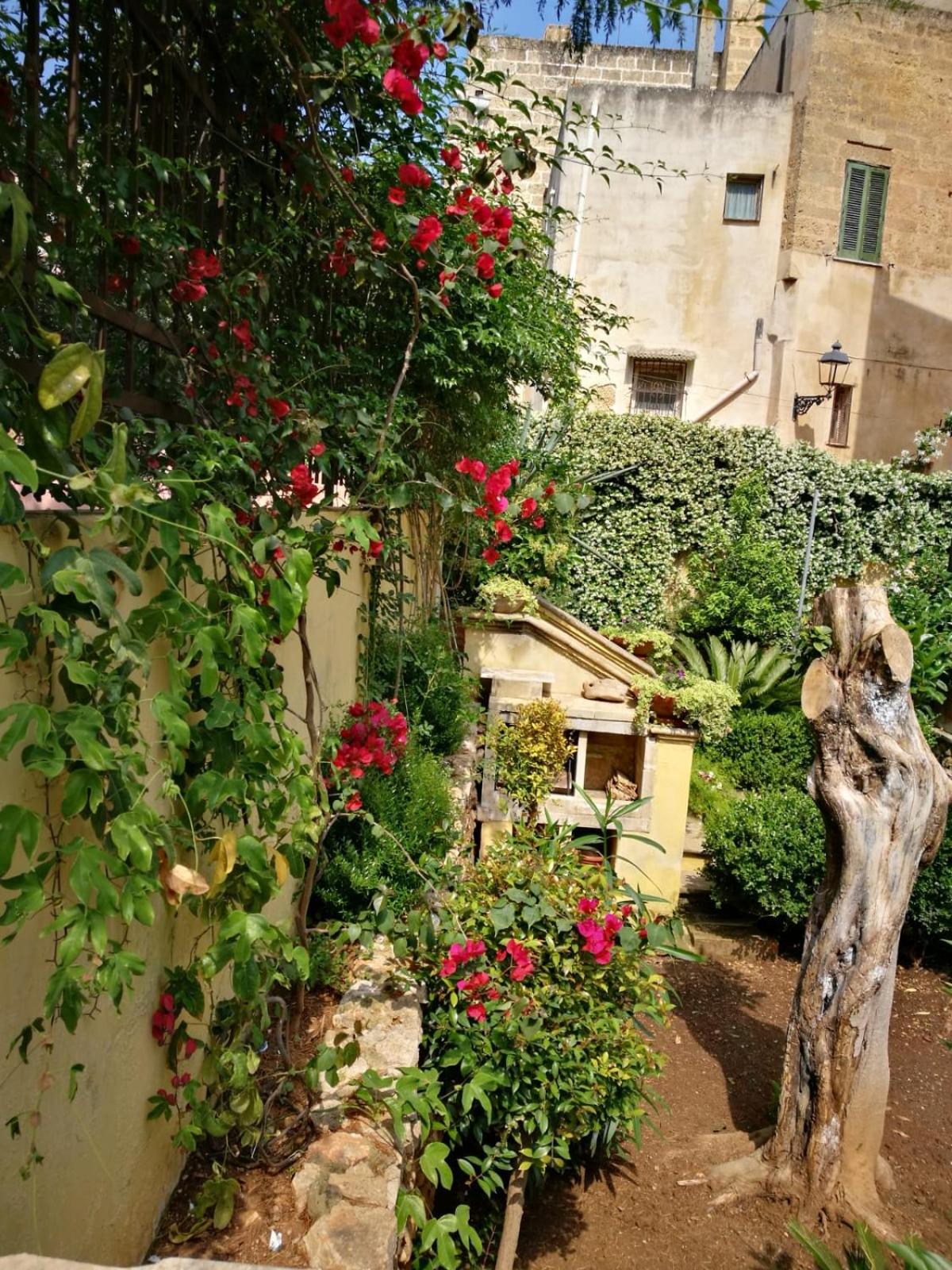 B&B Corte San Giuseppe view 5