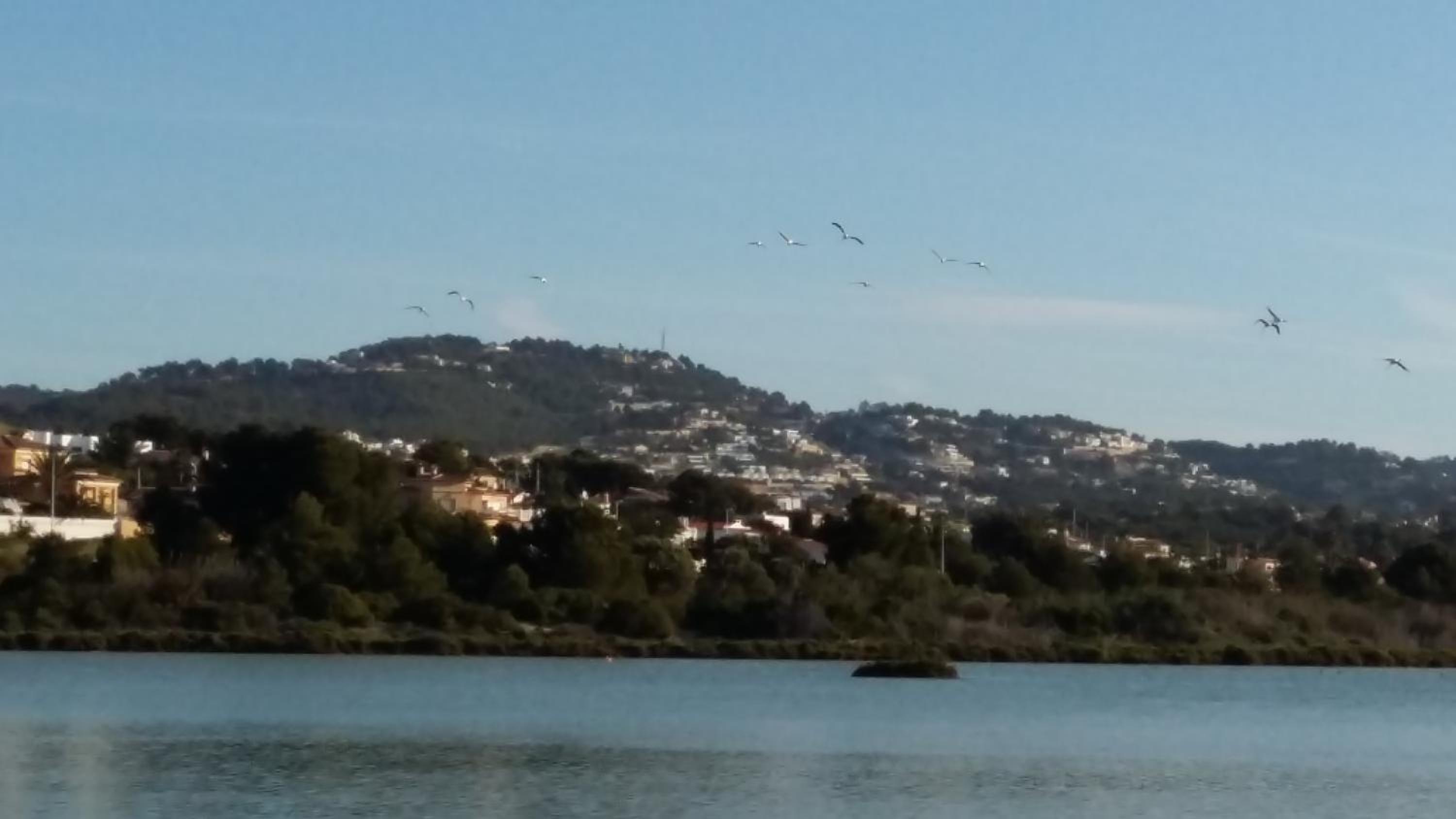 Apart. en Calpe a 150m. de la playa photo 4