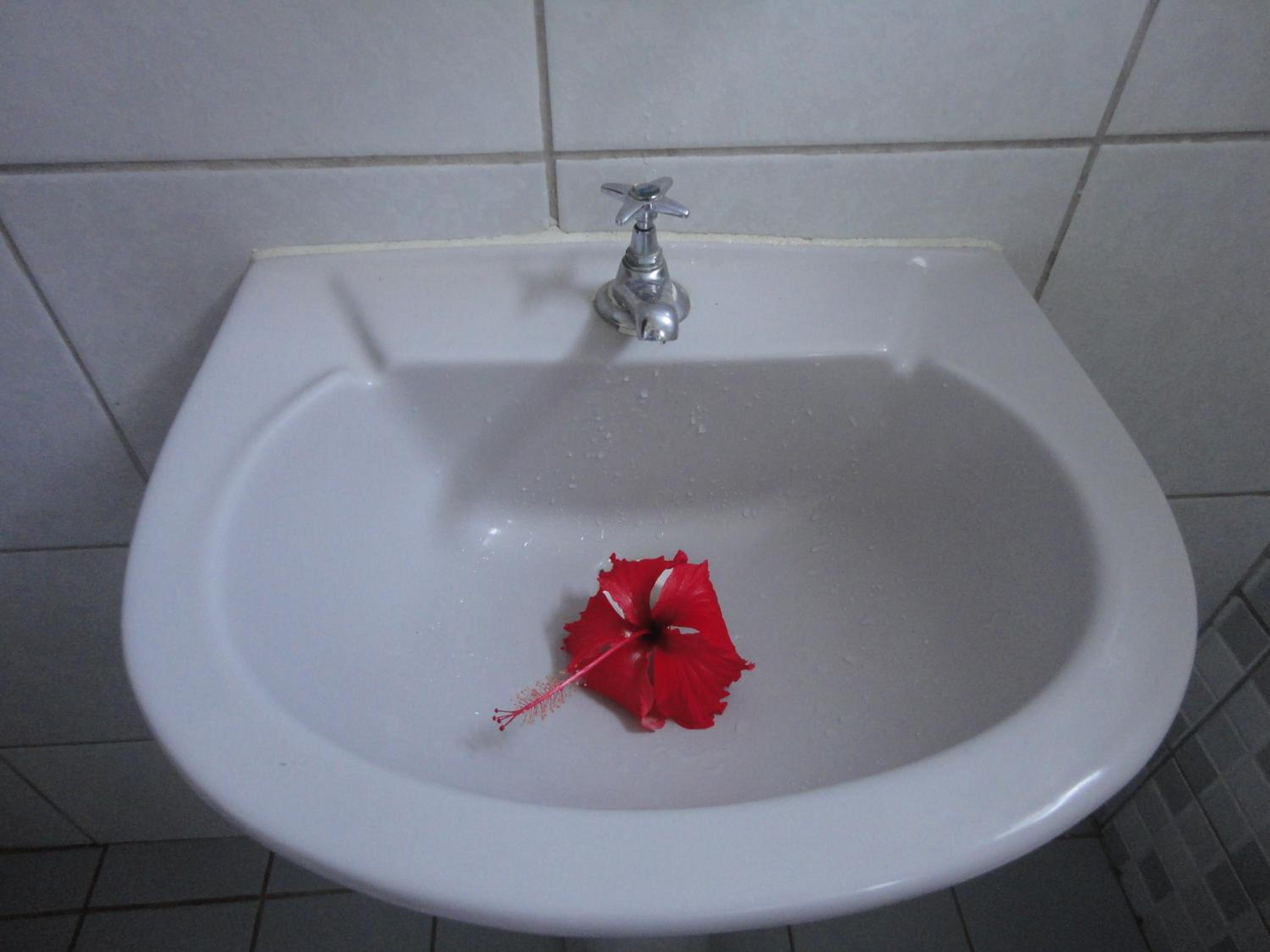 Photo 37
