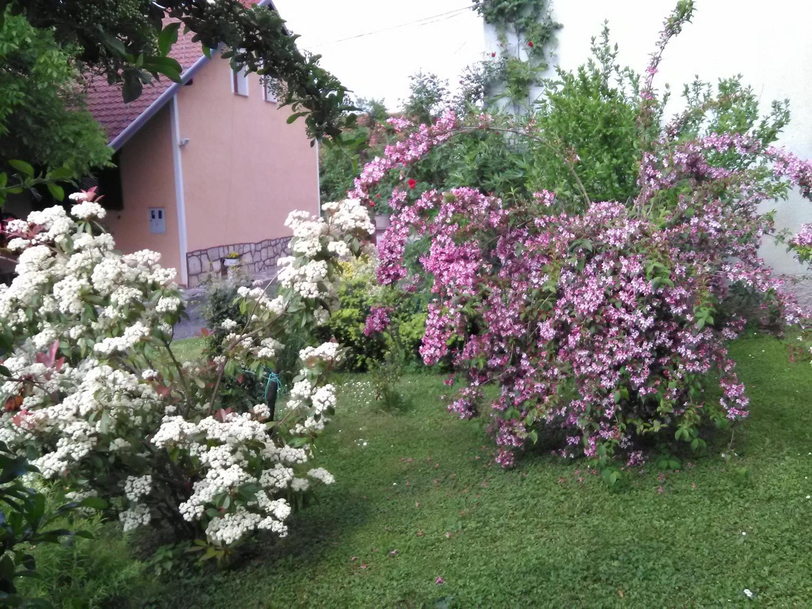 Apartment Tomašević view 5