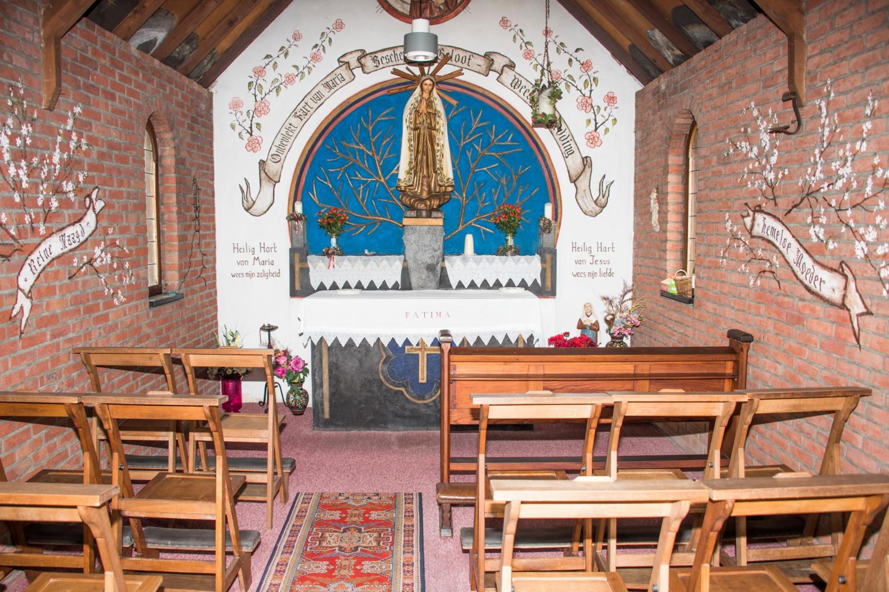 Photo 15