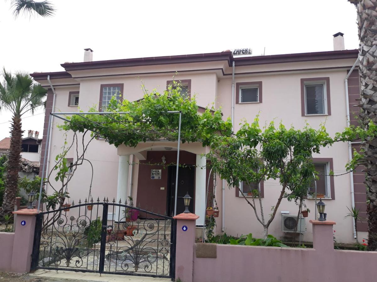 Photo 11