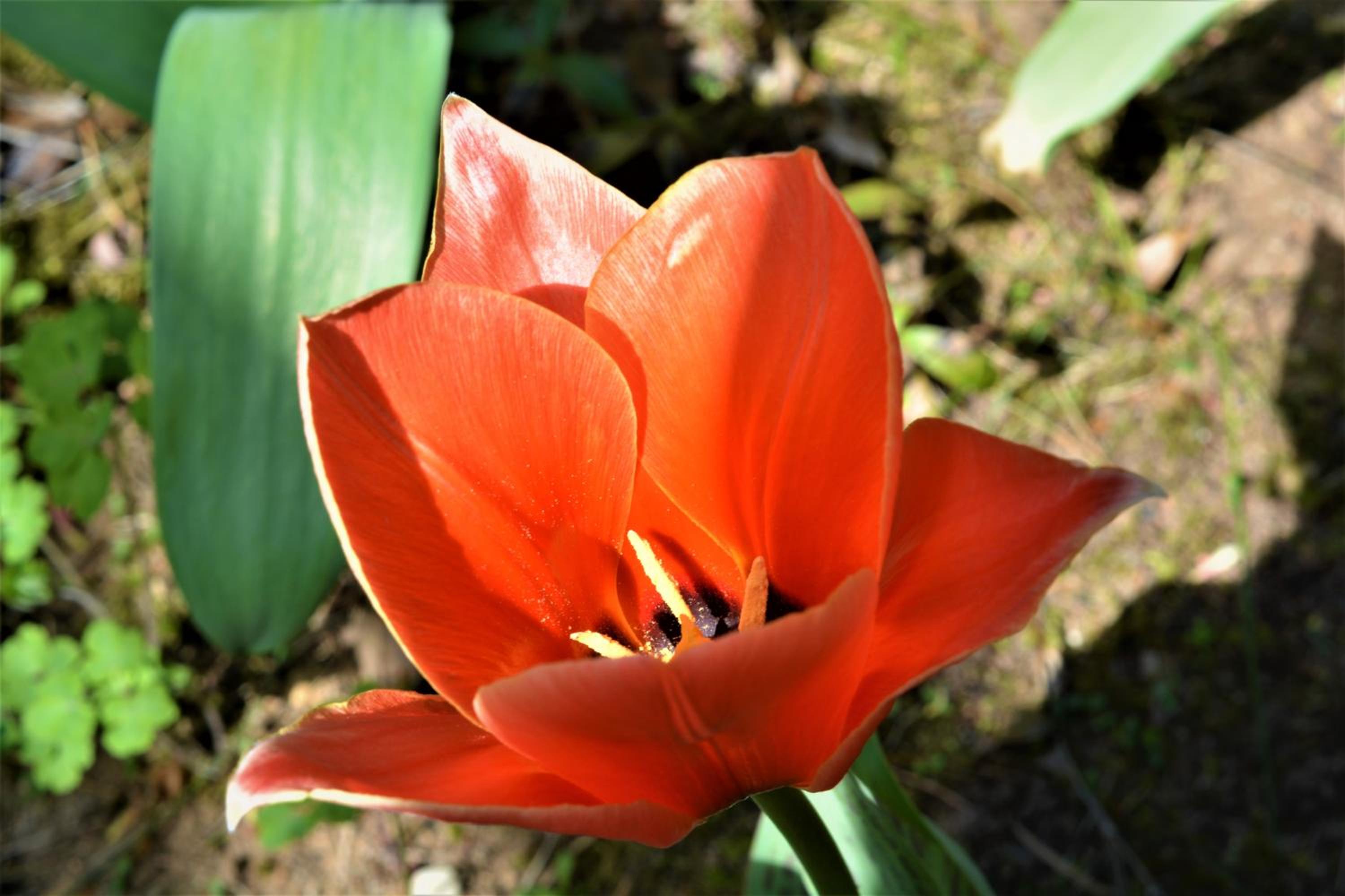 Photo 27