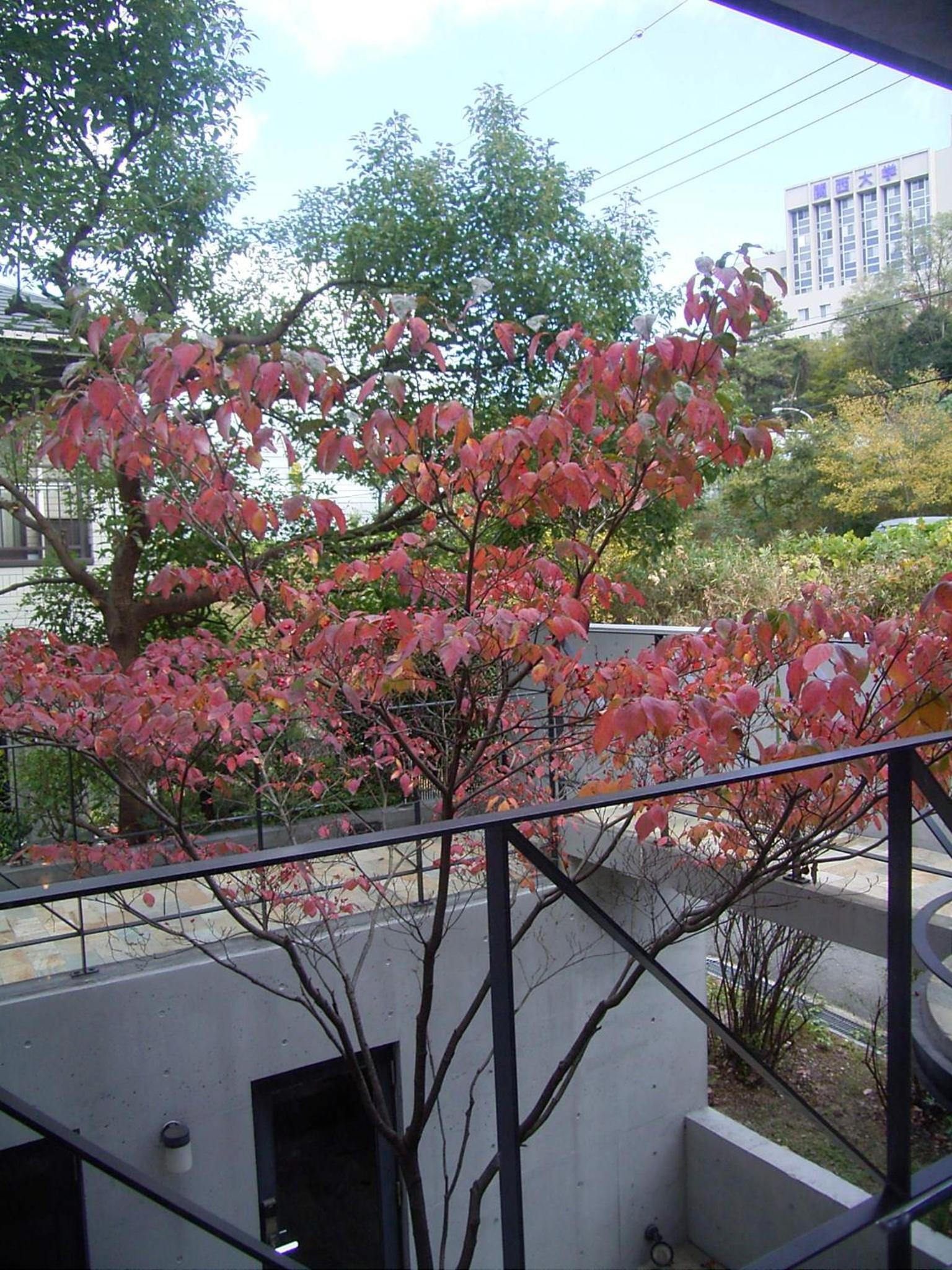 AH87 Osaka view 3