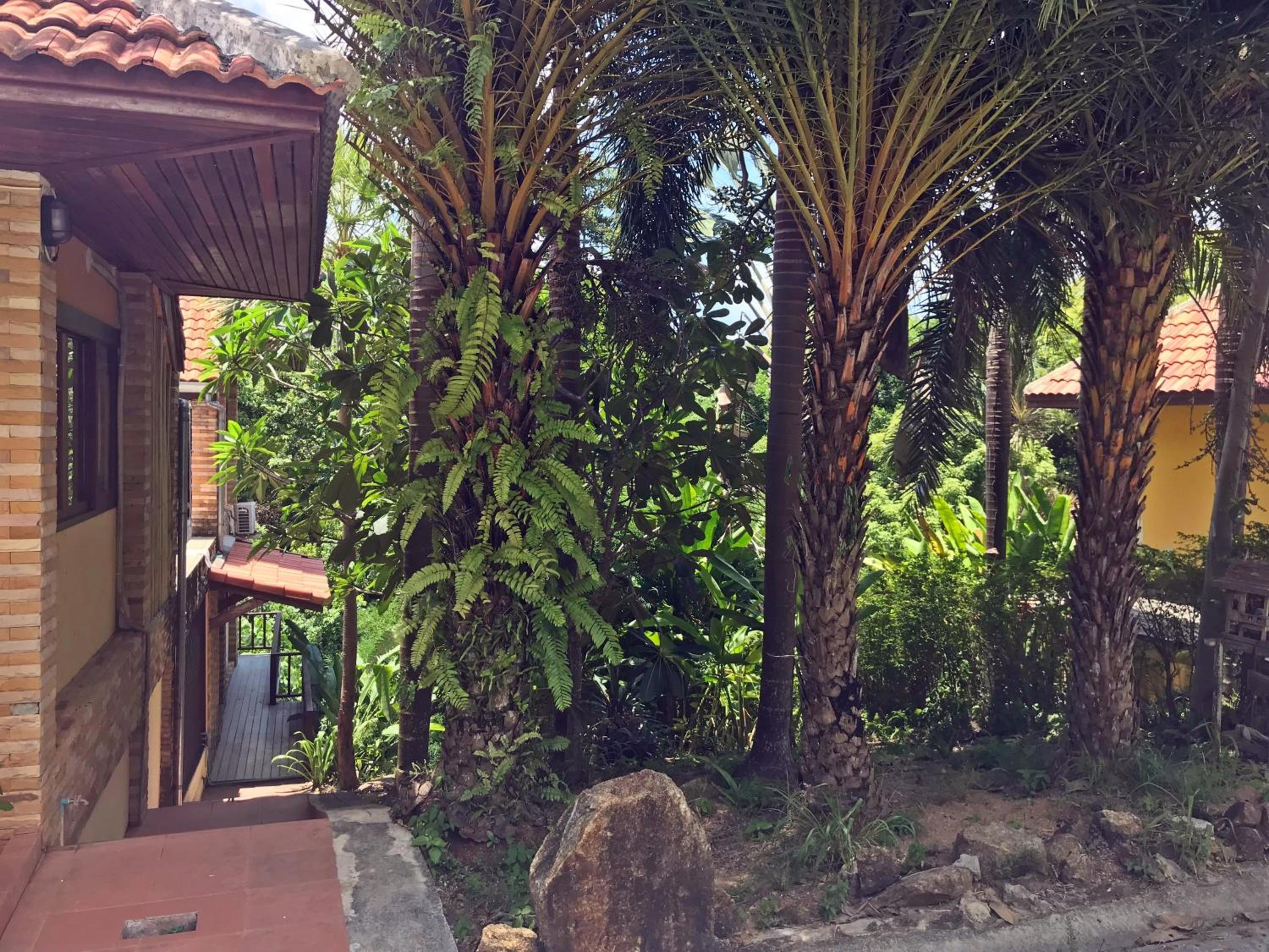 Photo 15