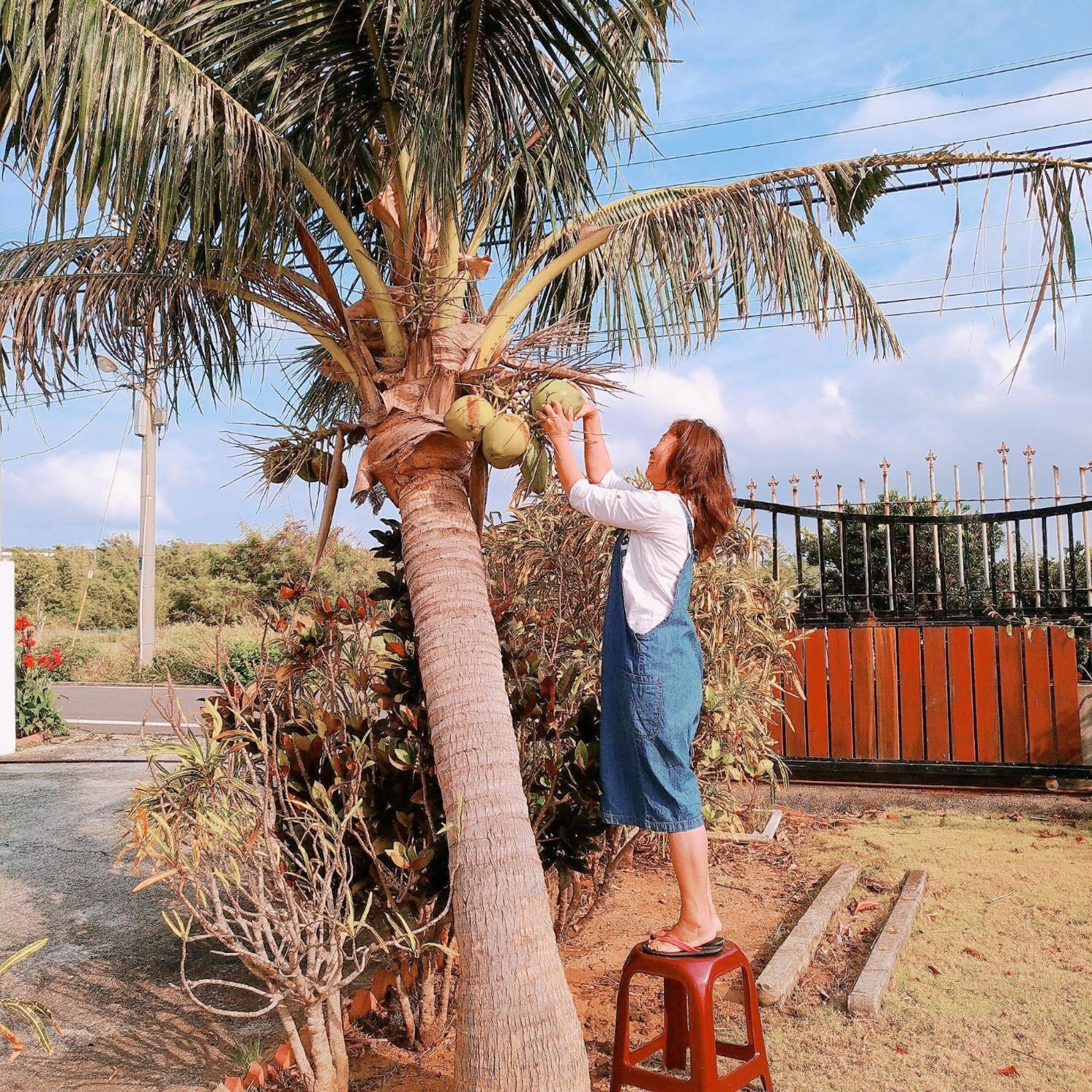 Coconutpalm Home