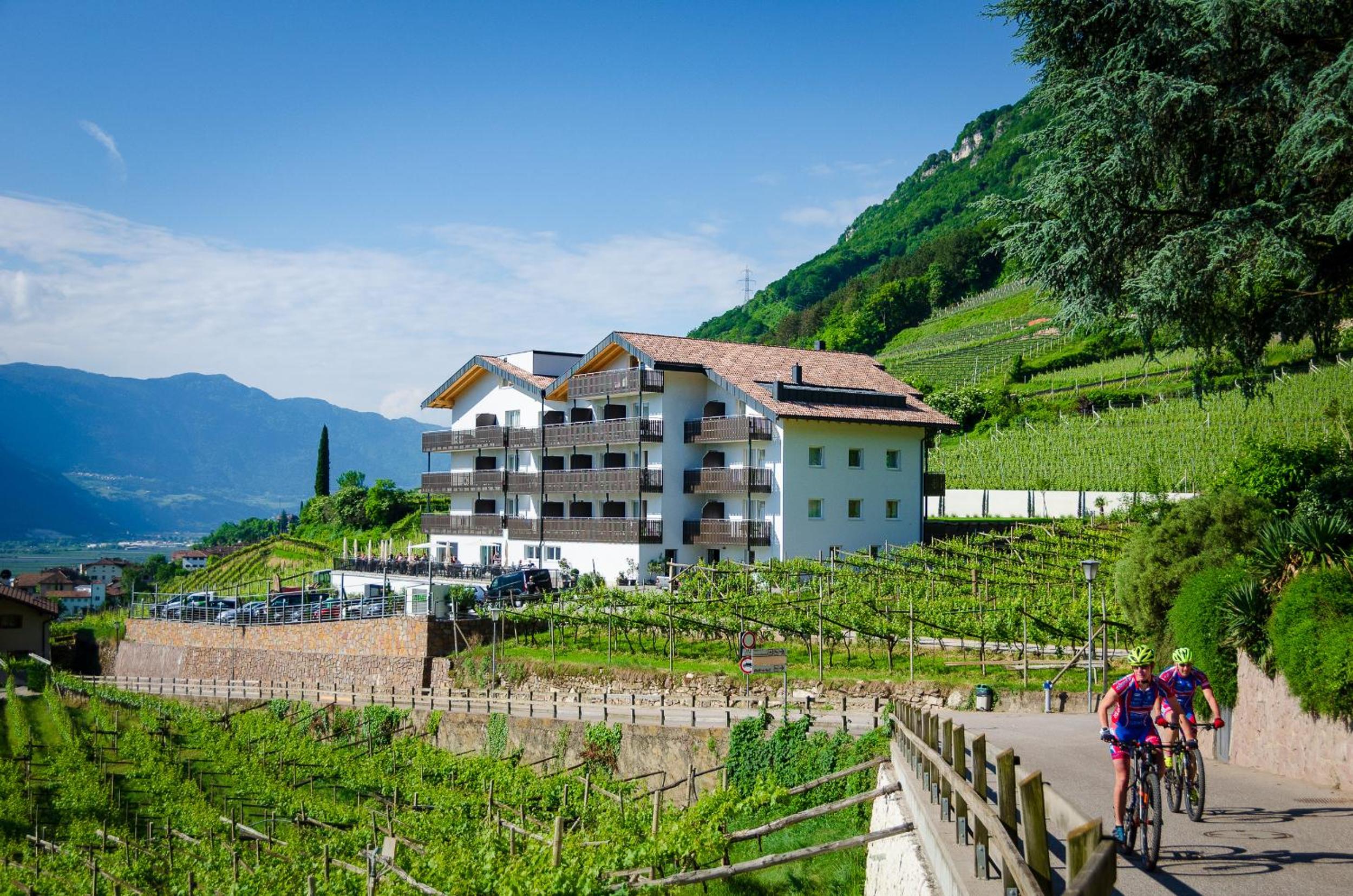 Hotel Vineus Tramin - Image 1