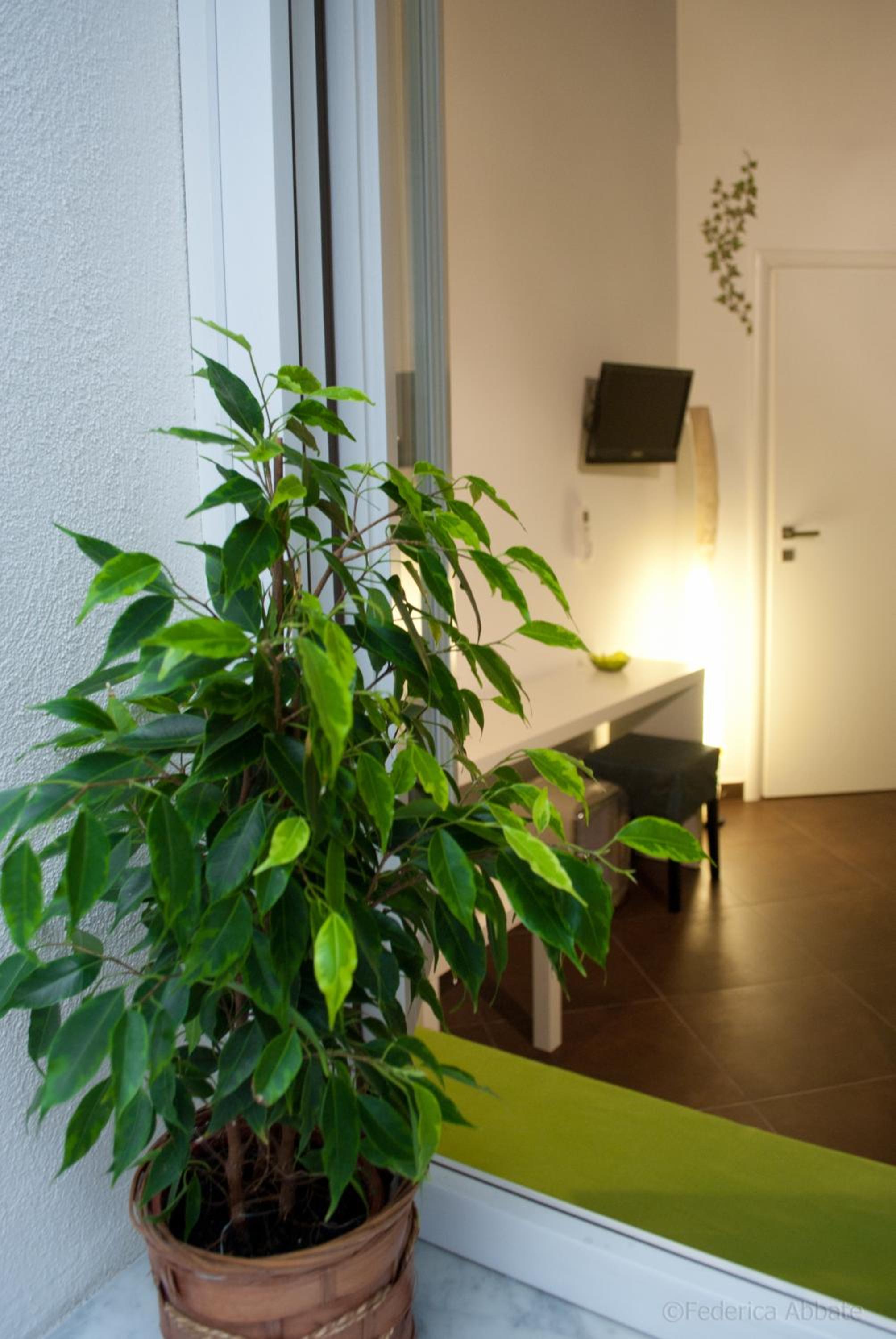 Affittacamere B&B Carella