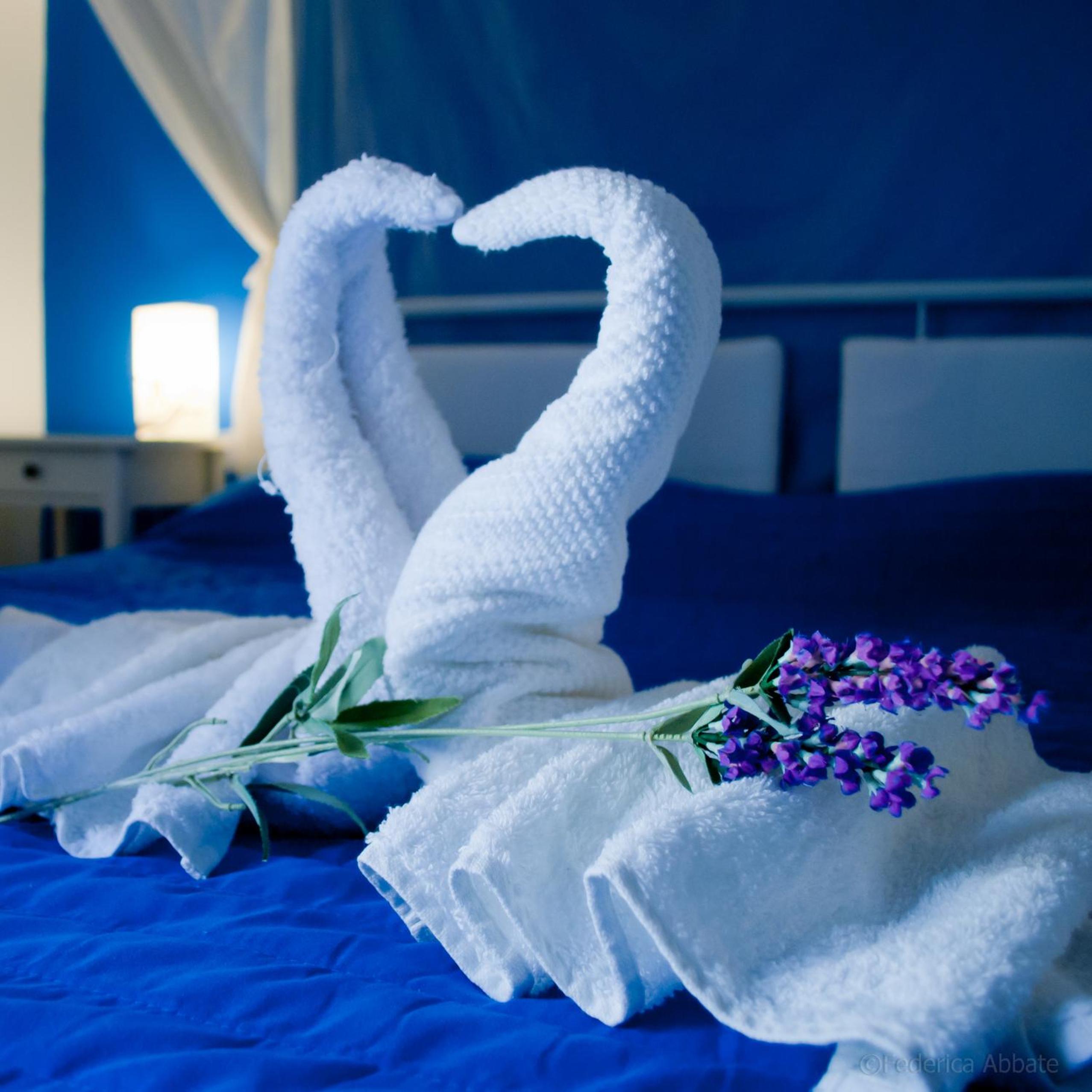Affittacamere B&B Carella