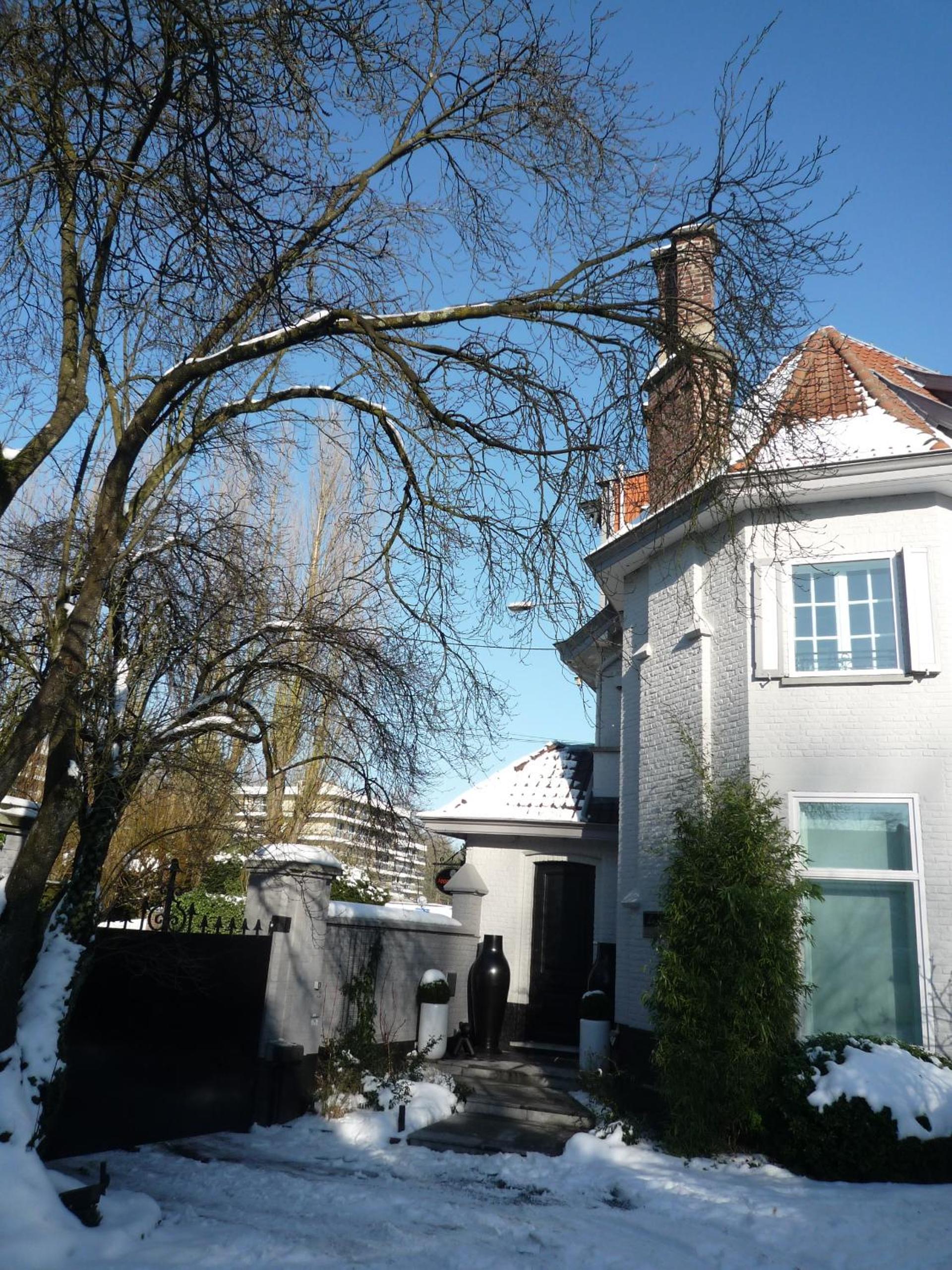 Photo 42