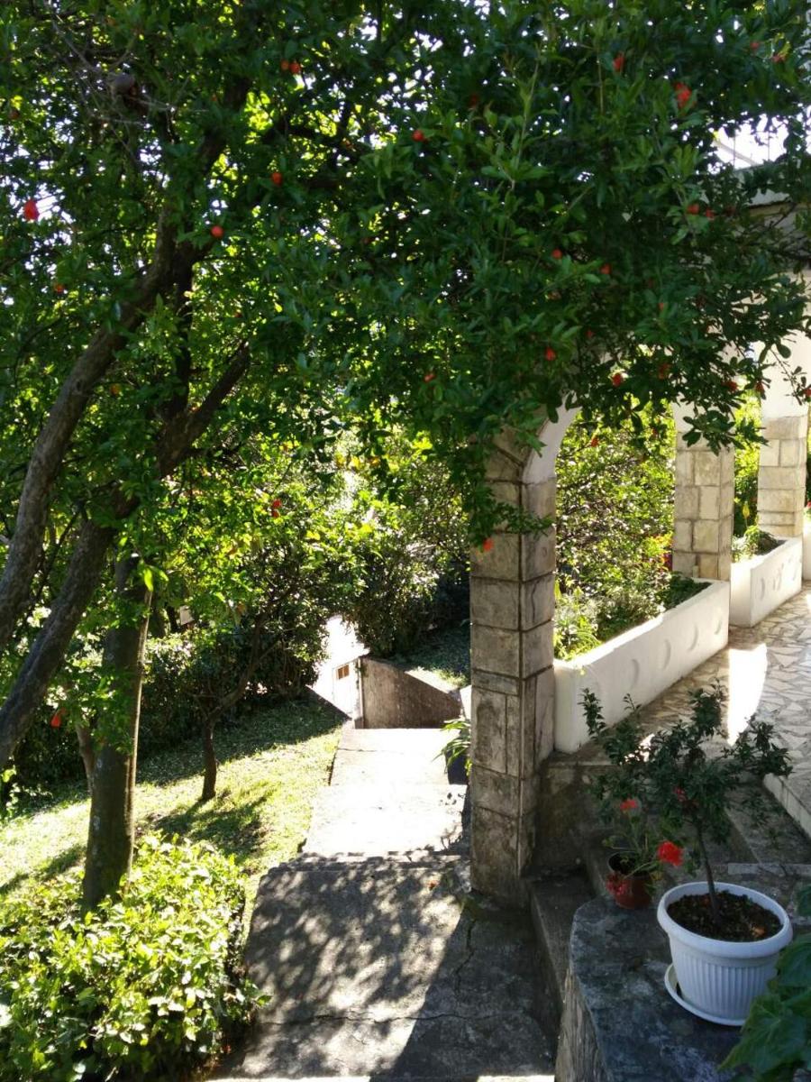 House Orange Apartments view 2