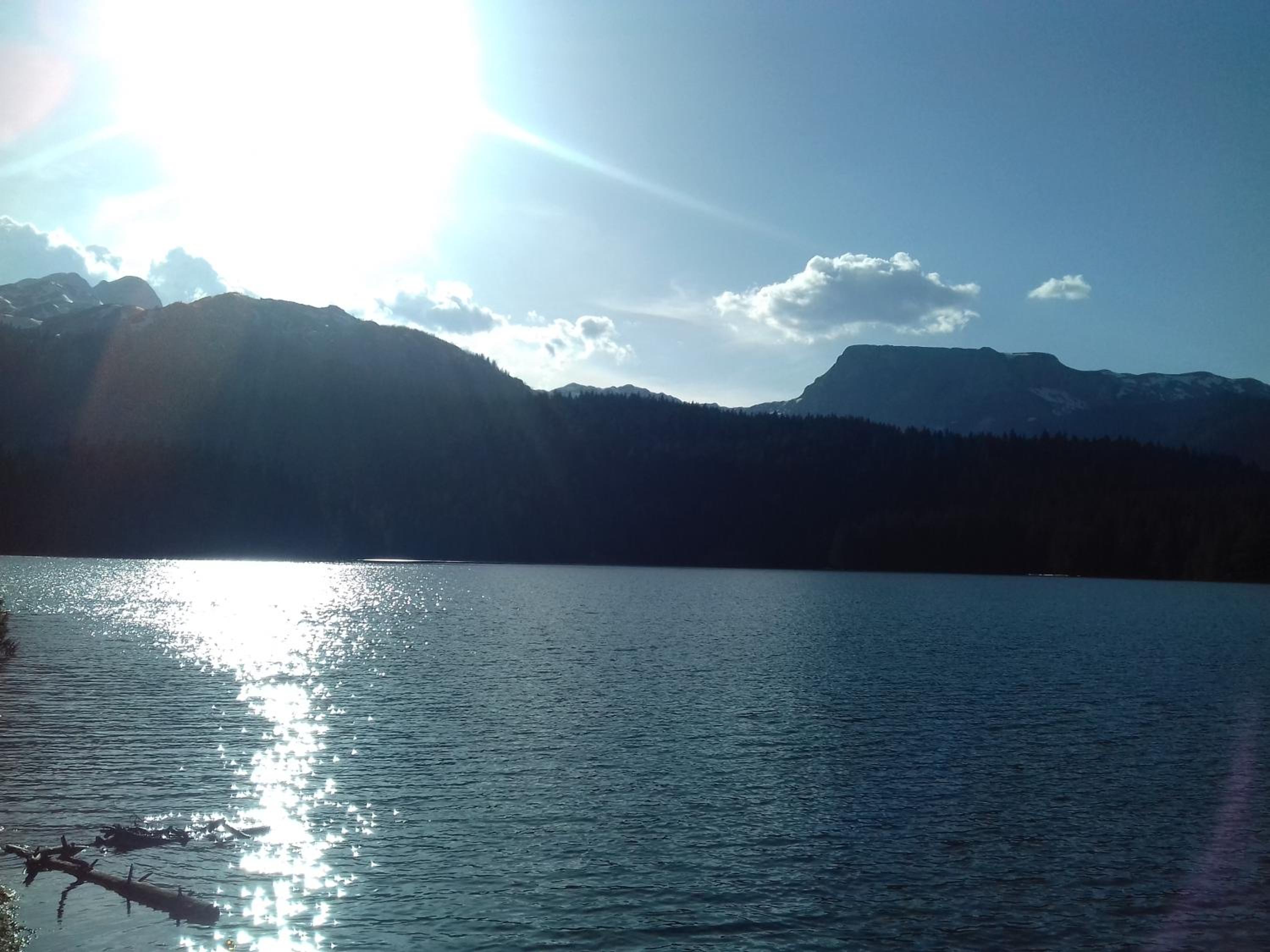 Photo 44