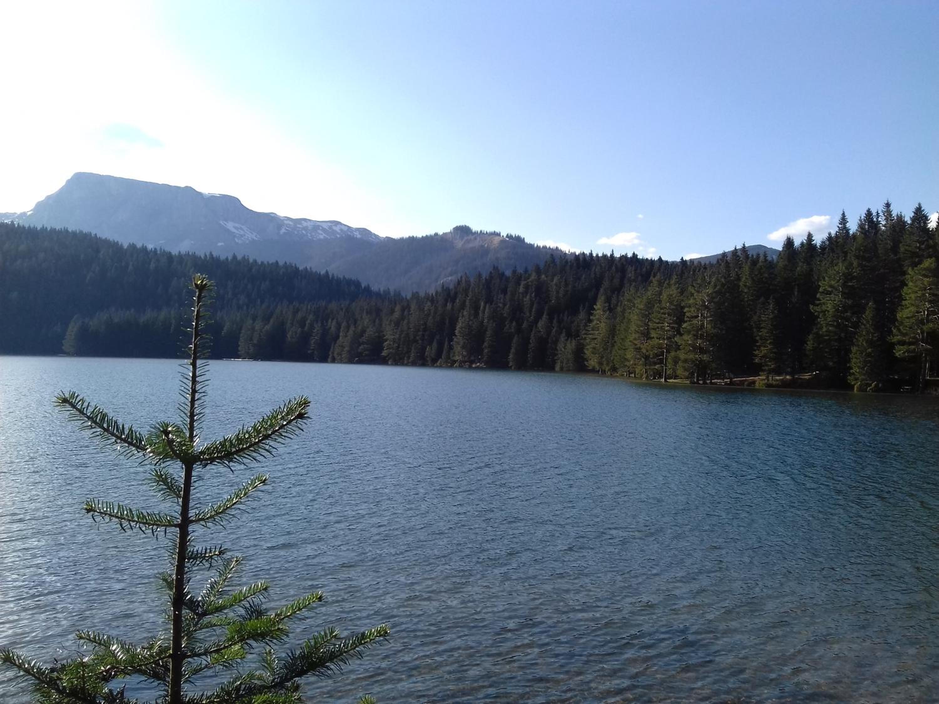 Photo 42
