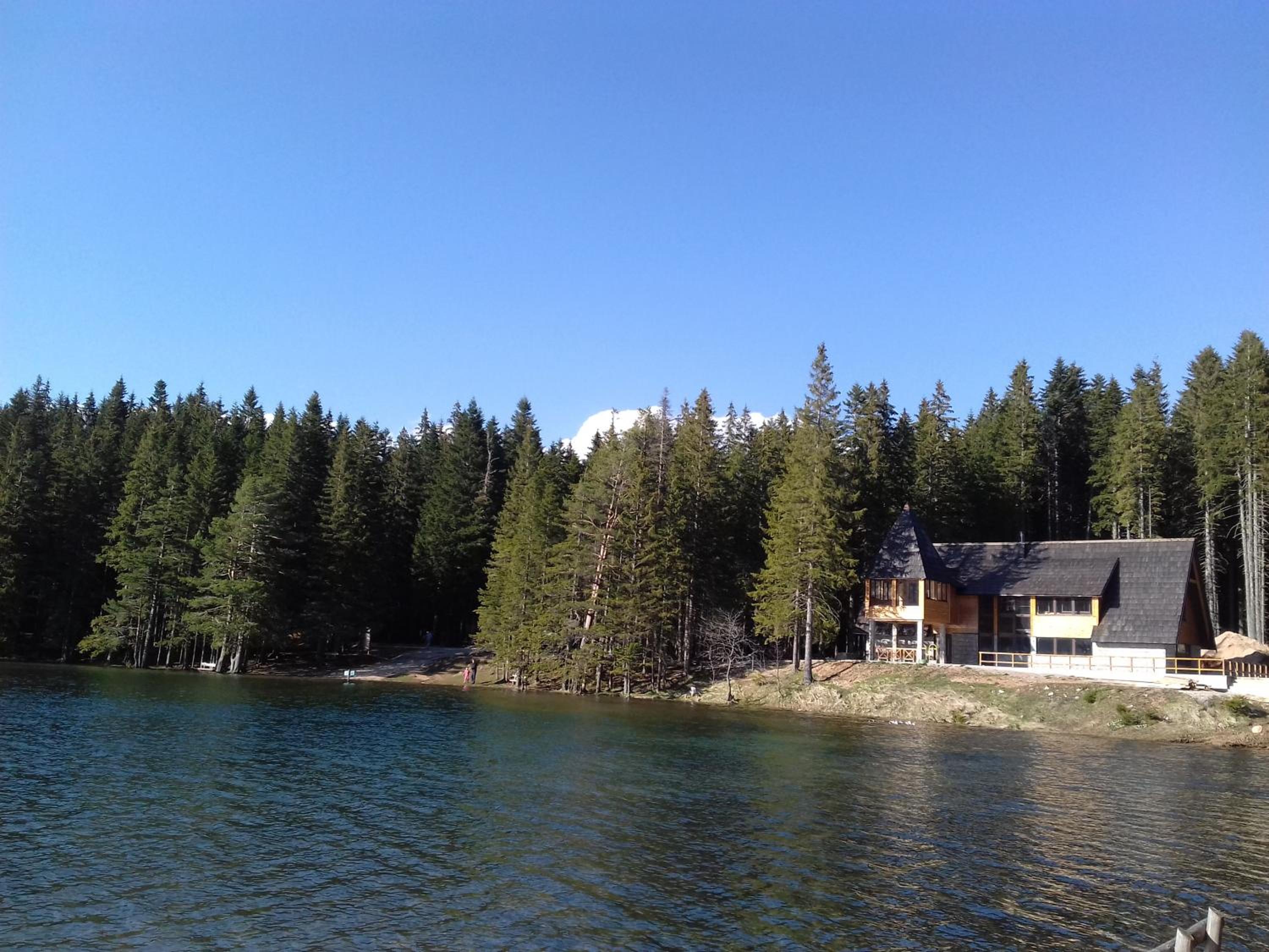Photo 43