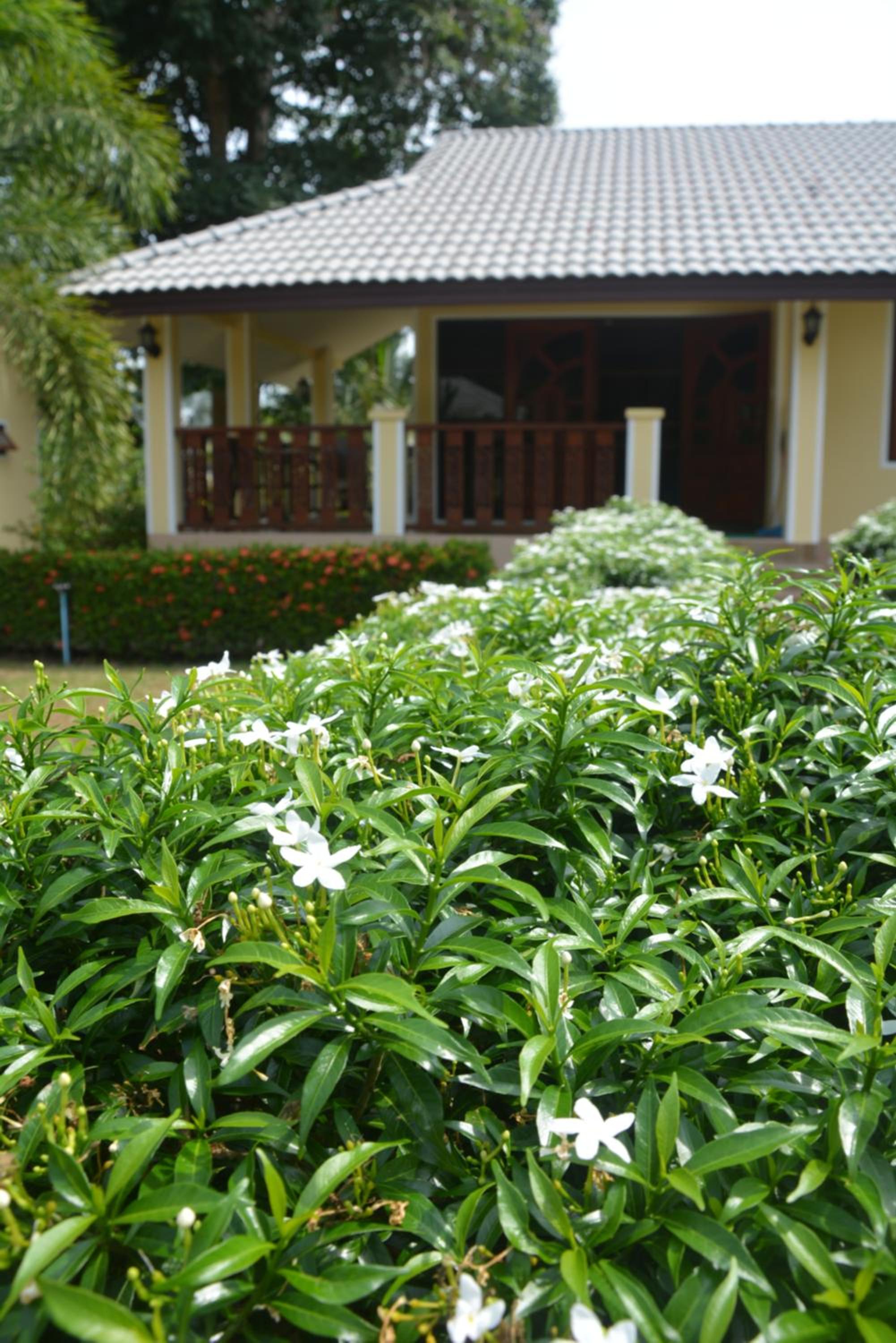 Apple Bungalows
