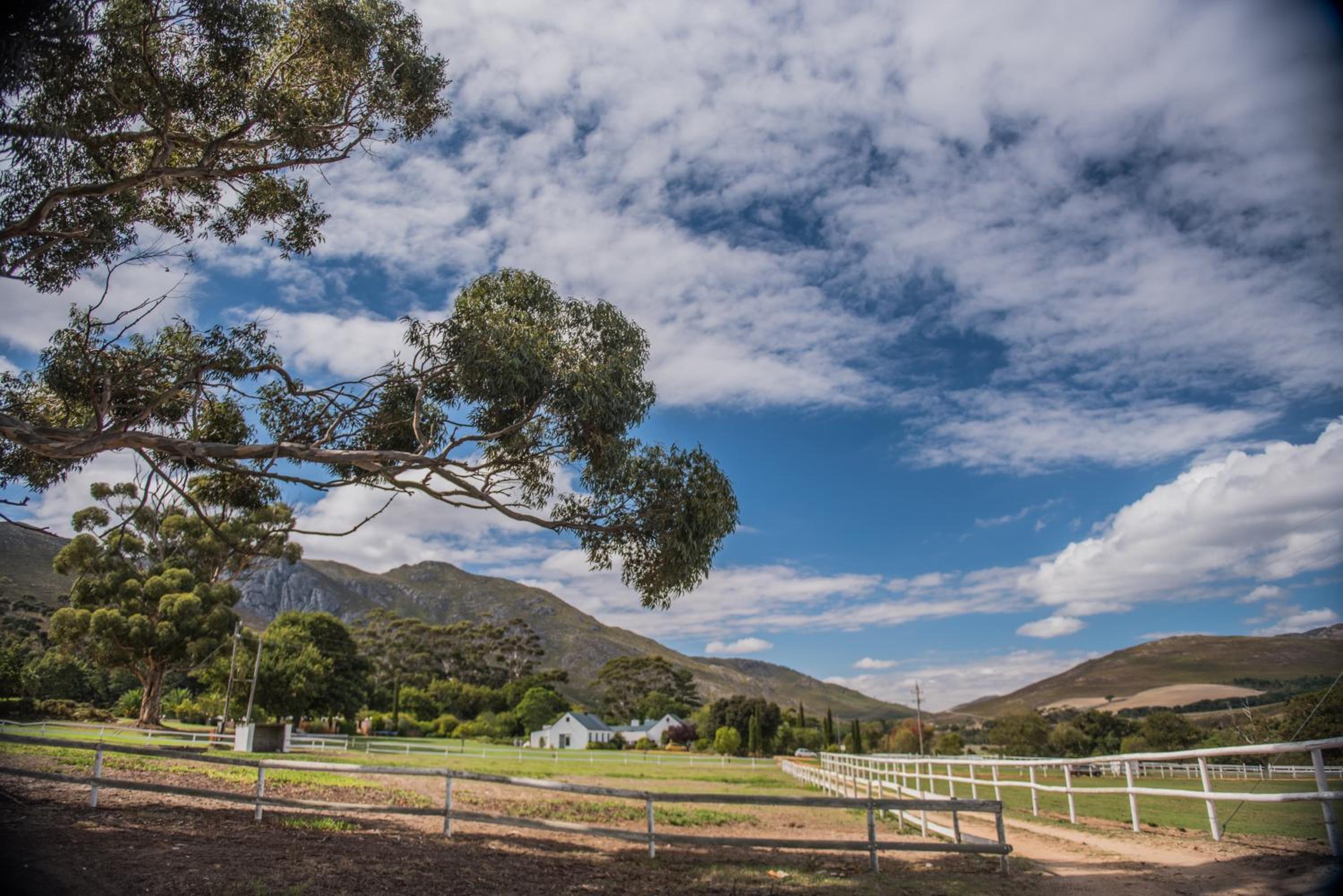 White Water Farm