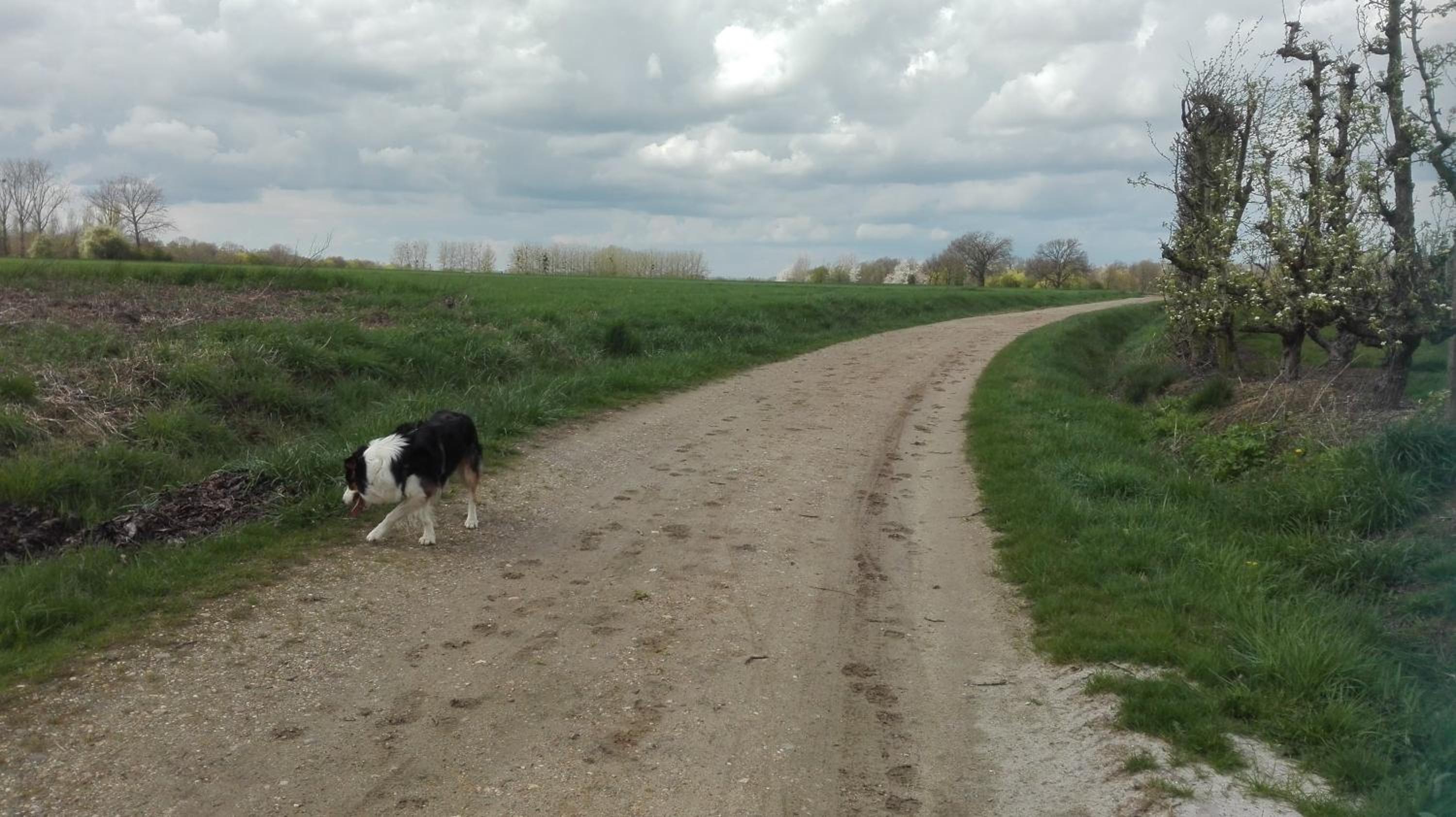 B&B De Laak