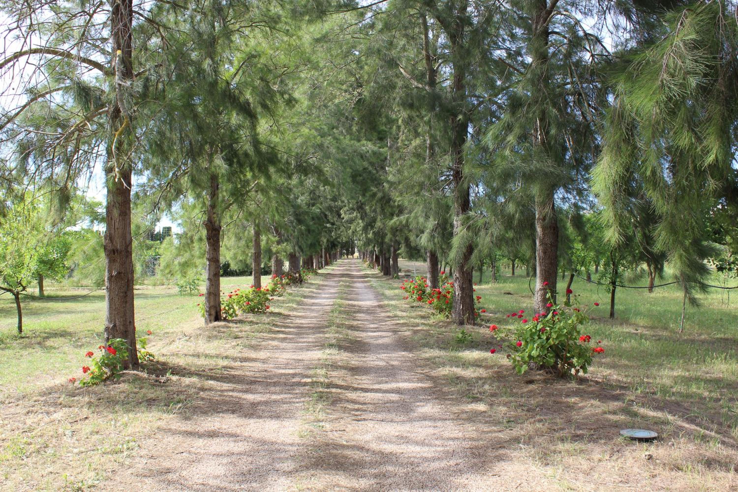 Tenuta Santa Rosa view 4