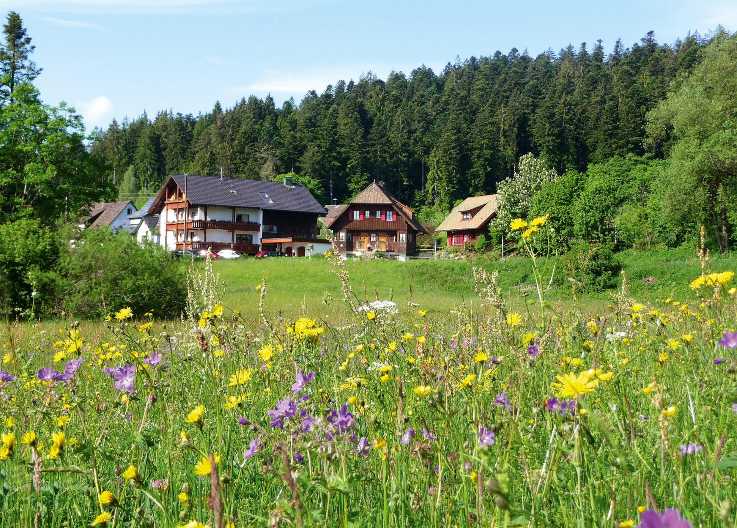 Hotel Landhaus Anja - Image 1