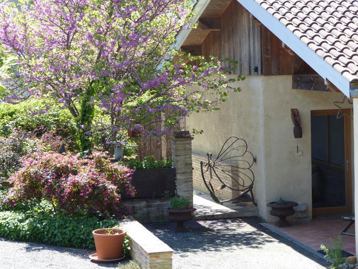 Absolut Oiseaux en Parisot