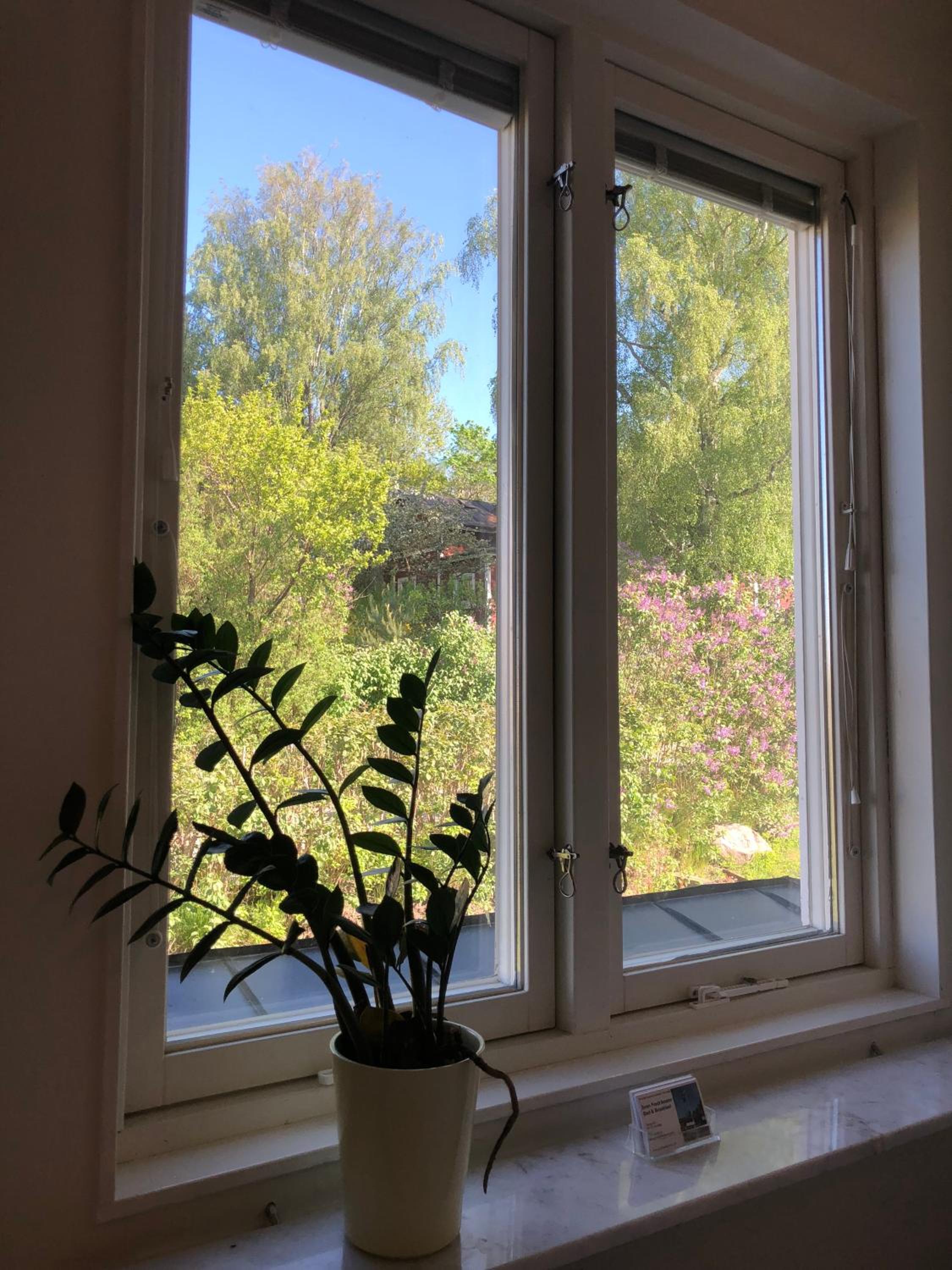 Sven Fredriksson Bed & Breakfast, photo 22
