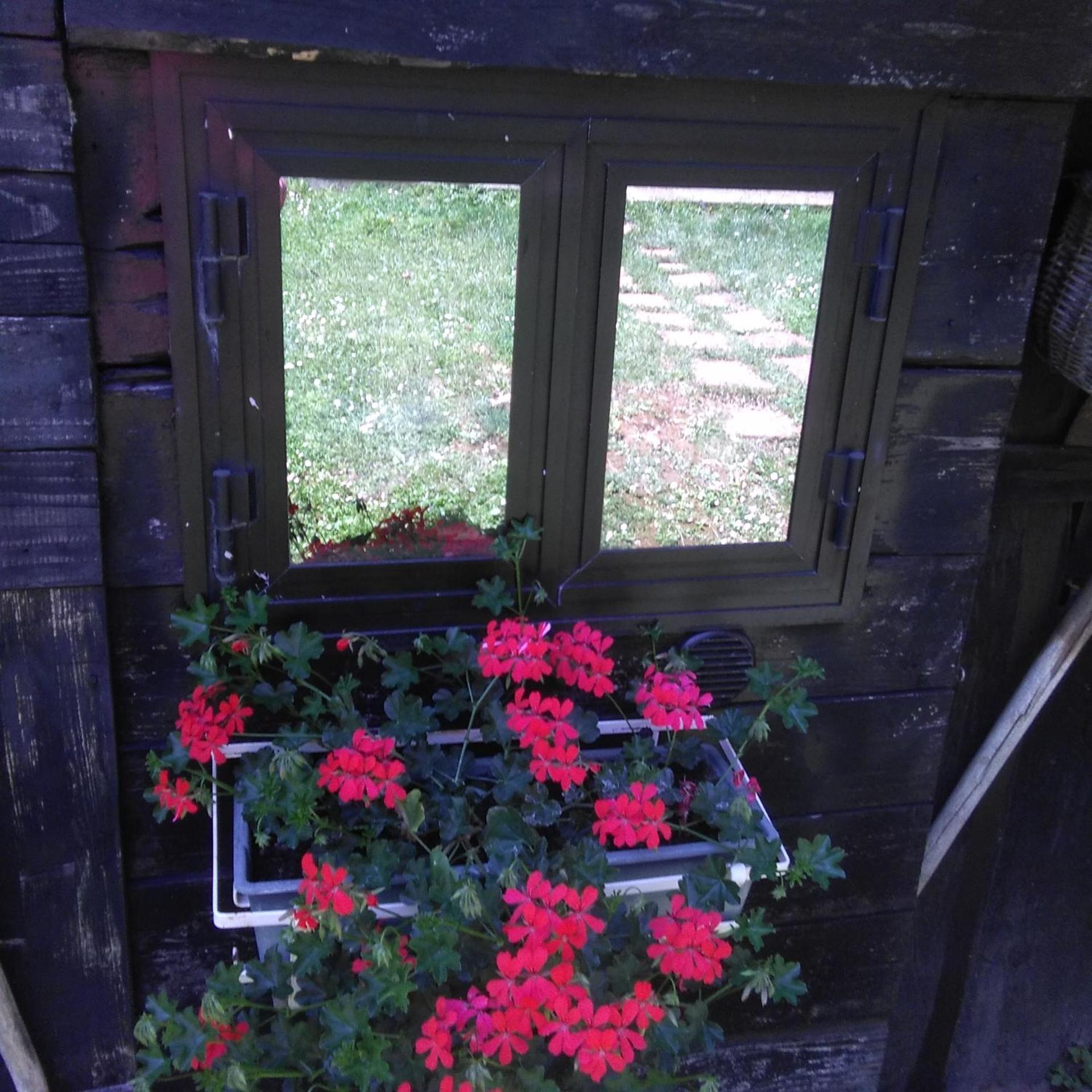 Photo 31