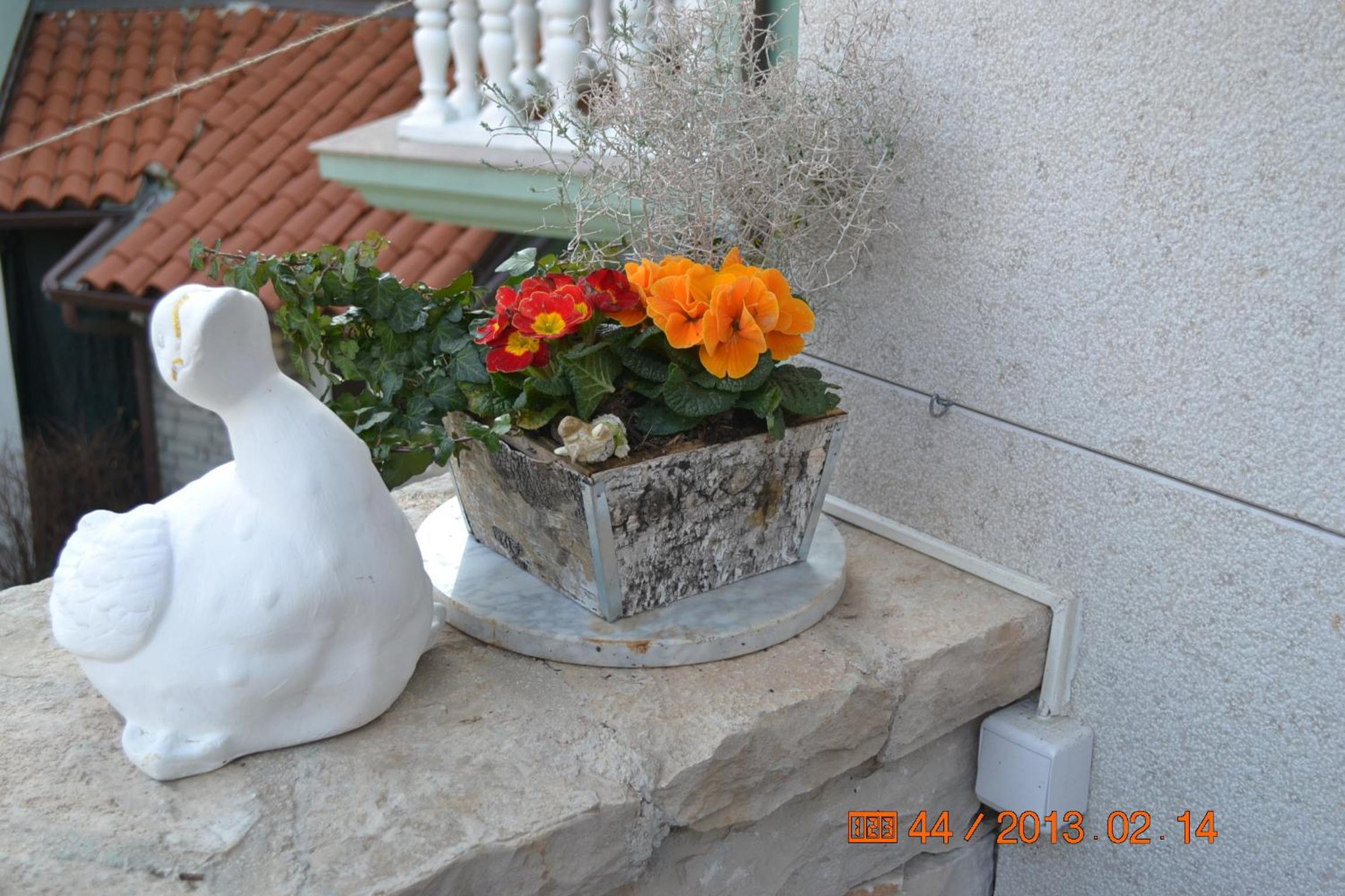 Photo 71