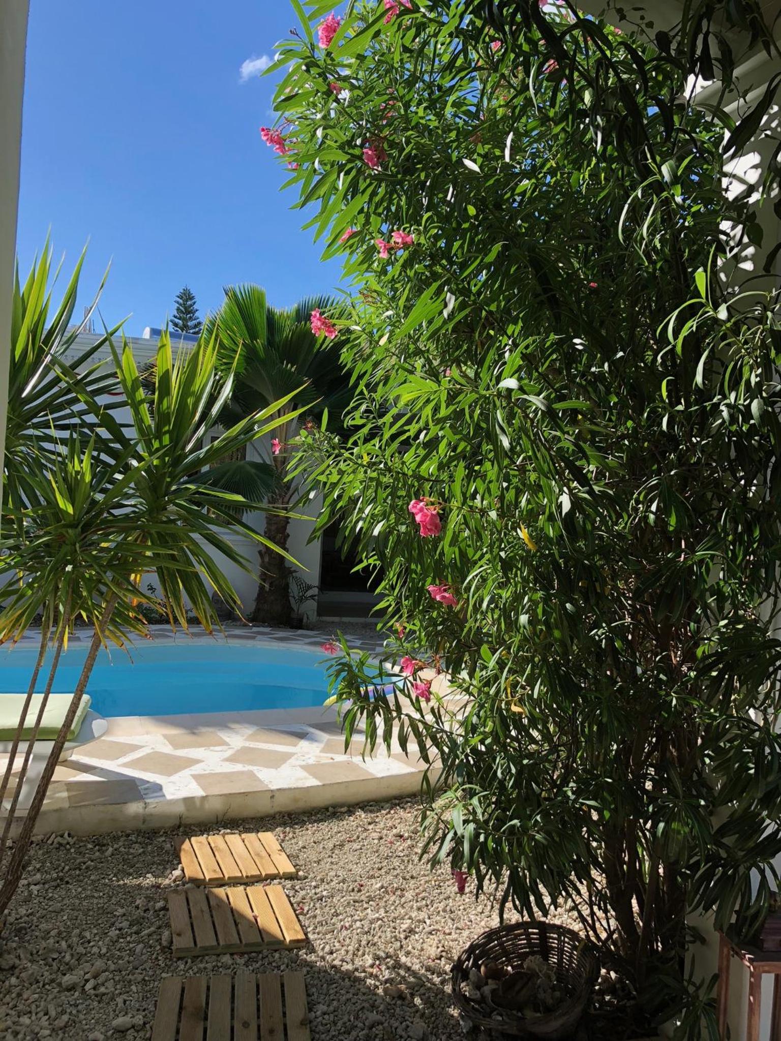 Bungalows Cannelle