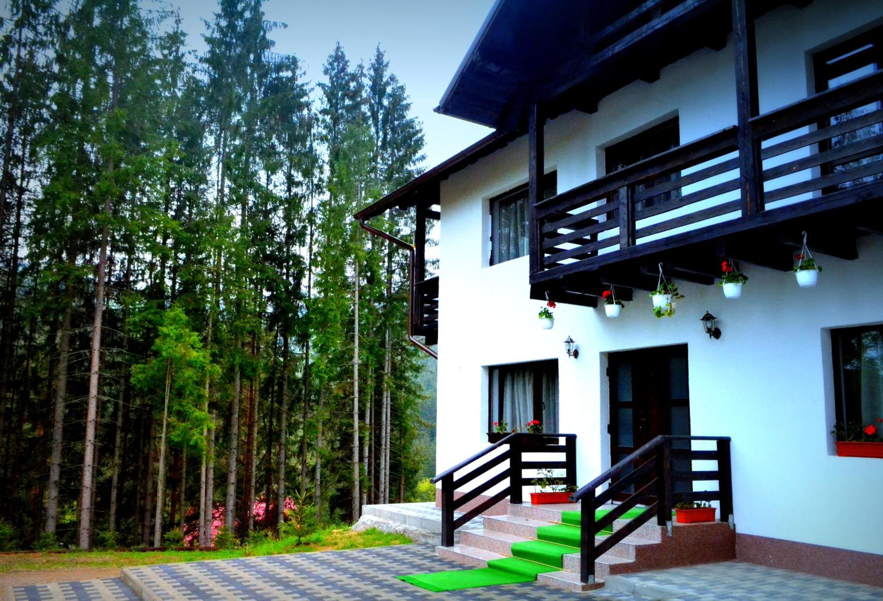 Pensiunea Vatra Bucovinei view 5