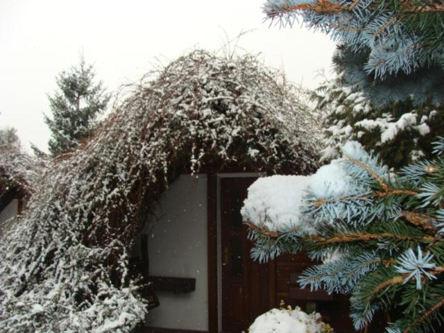 Photo 36