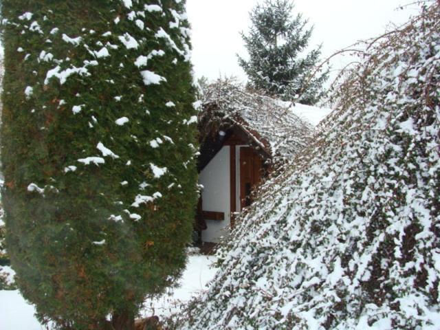 Photo 39