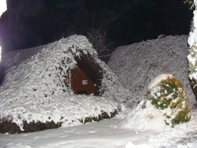 Photo 38