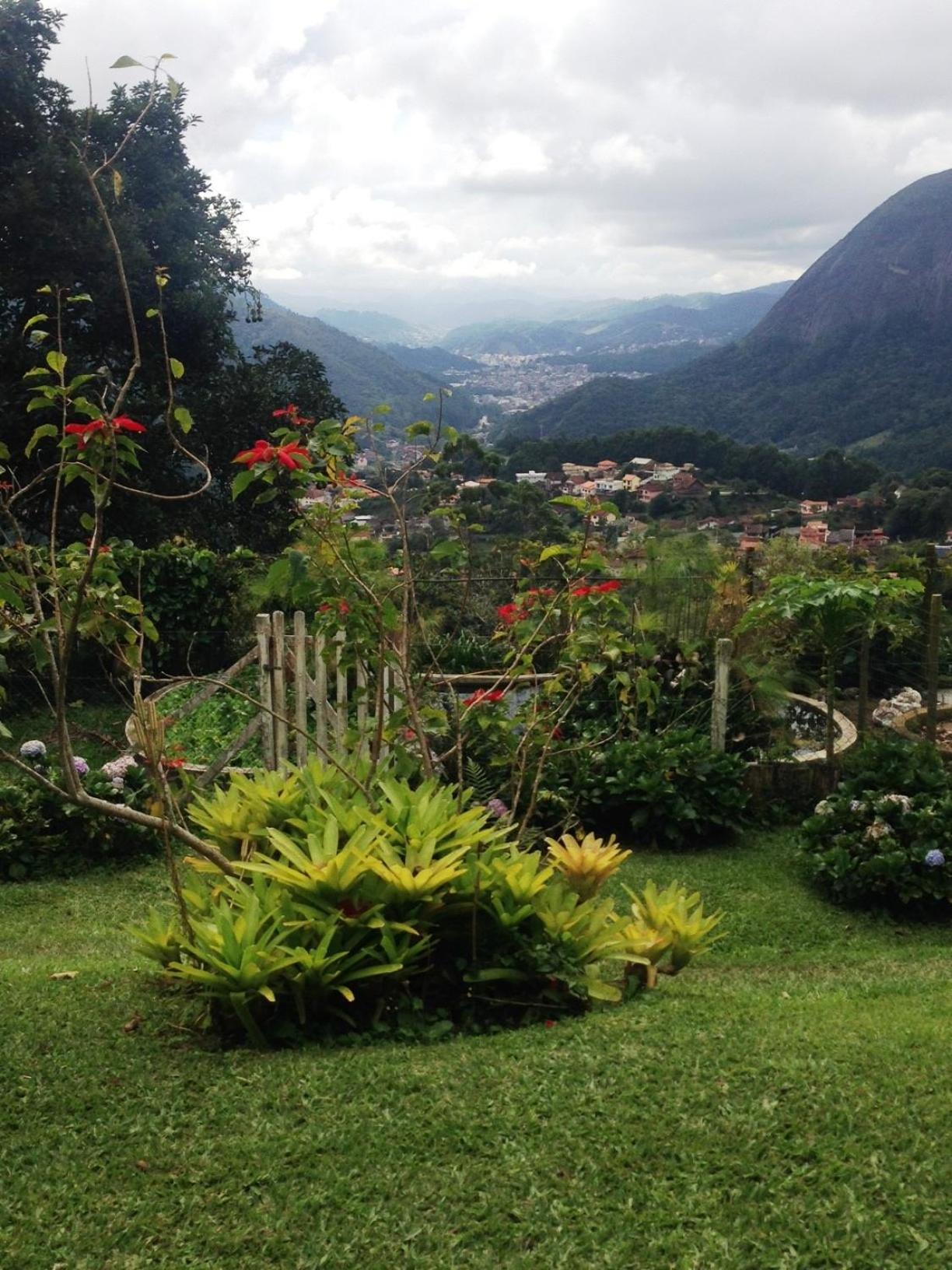 Canto dos Pássaros