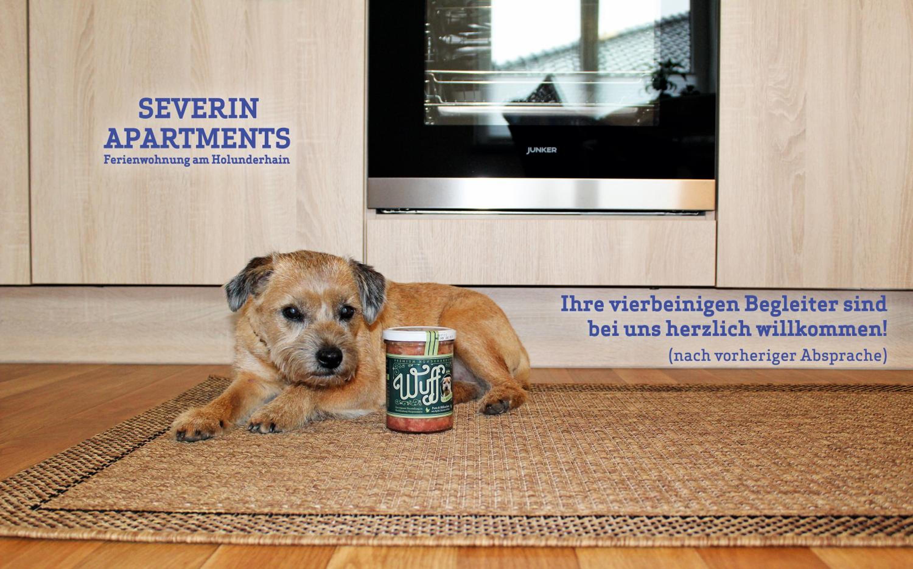 Severin Apartments