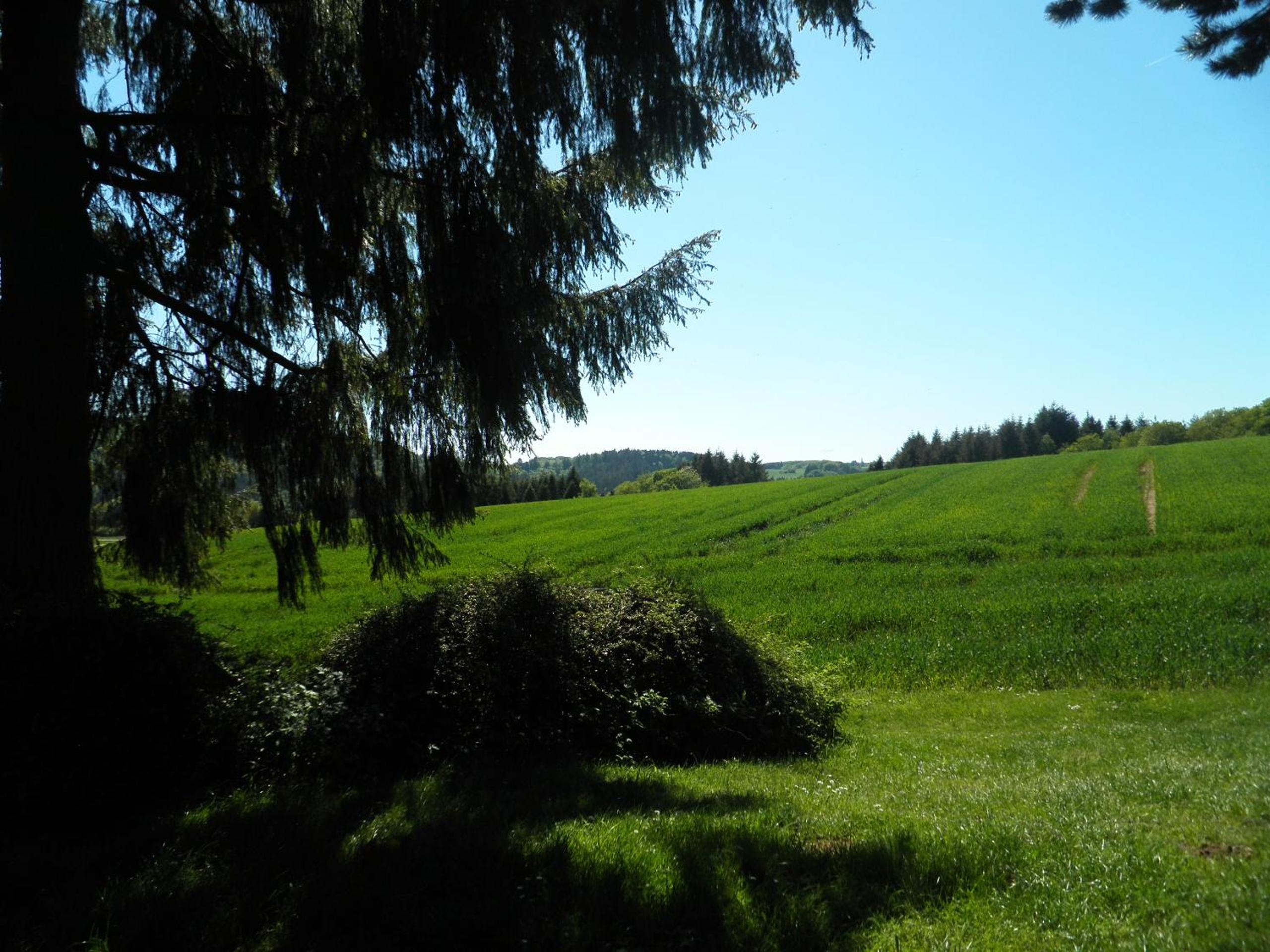 Blick in die Südeifel