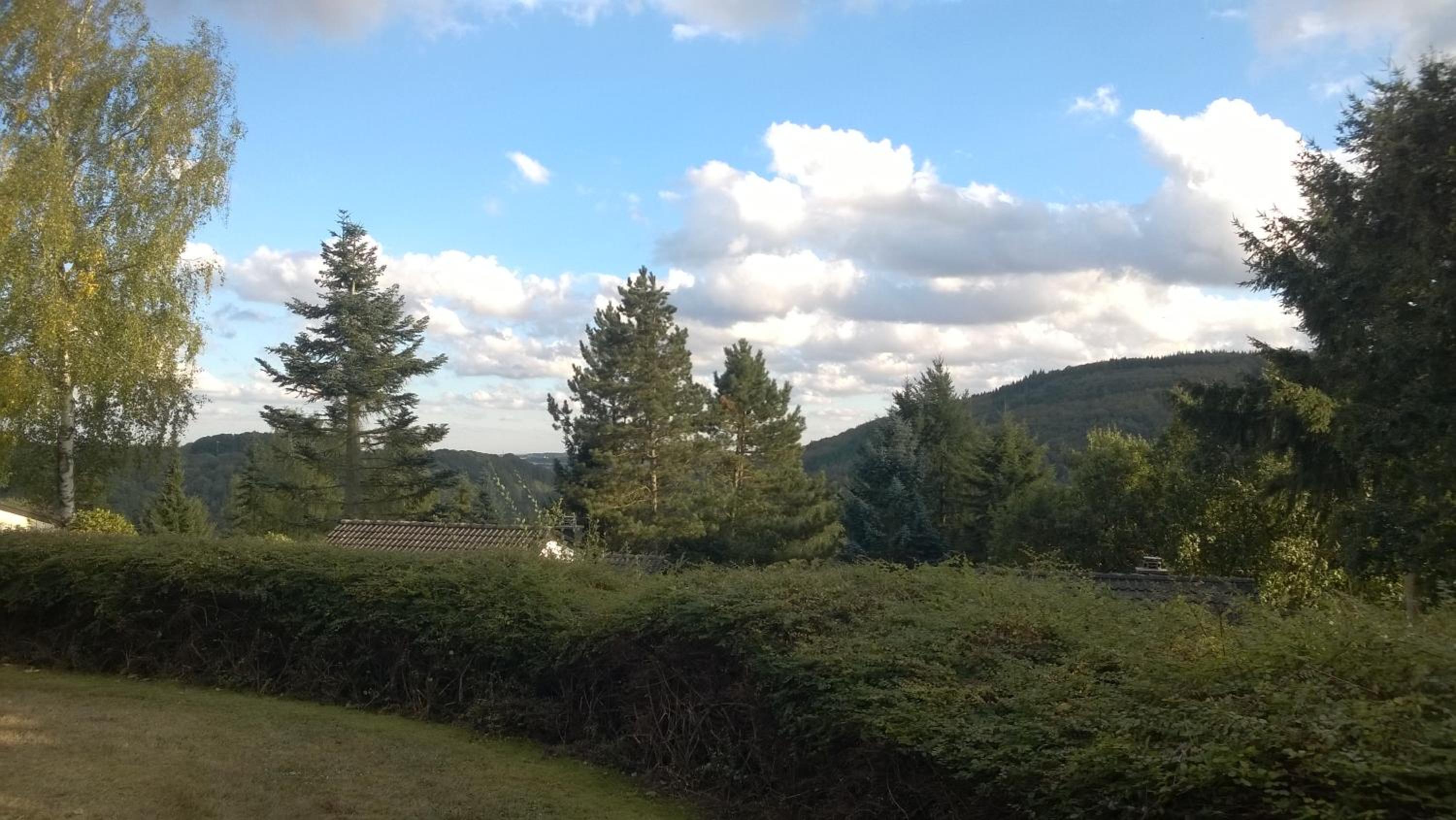 Blick in die Südeifel