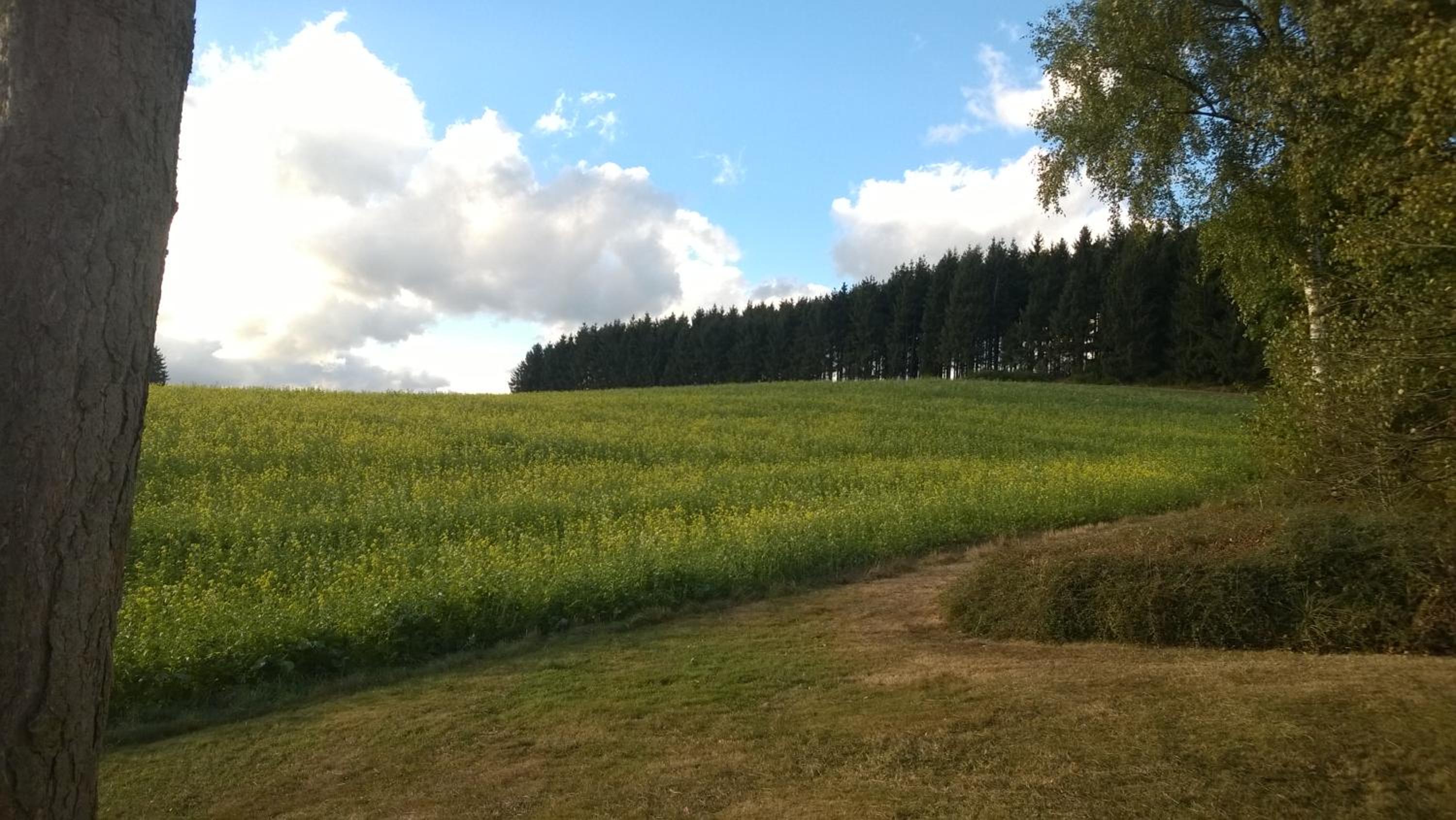 Blick in die Südeifel