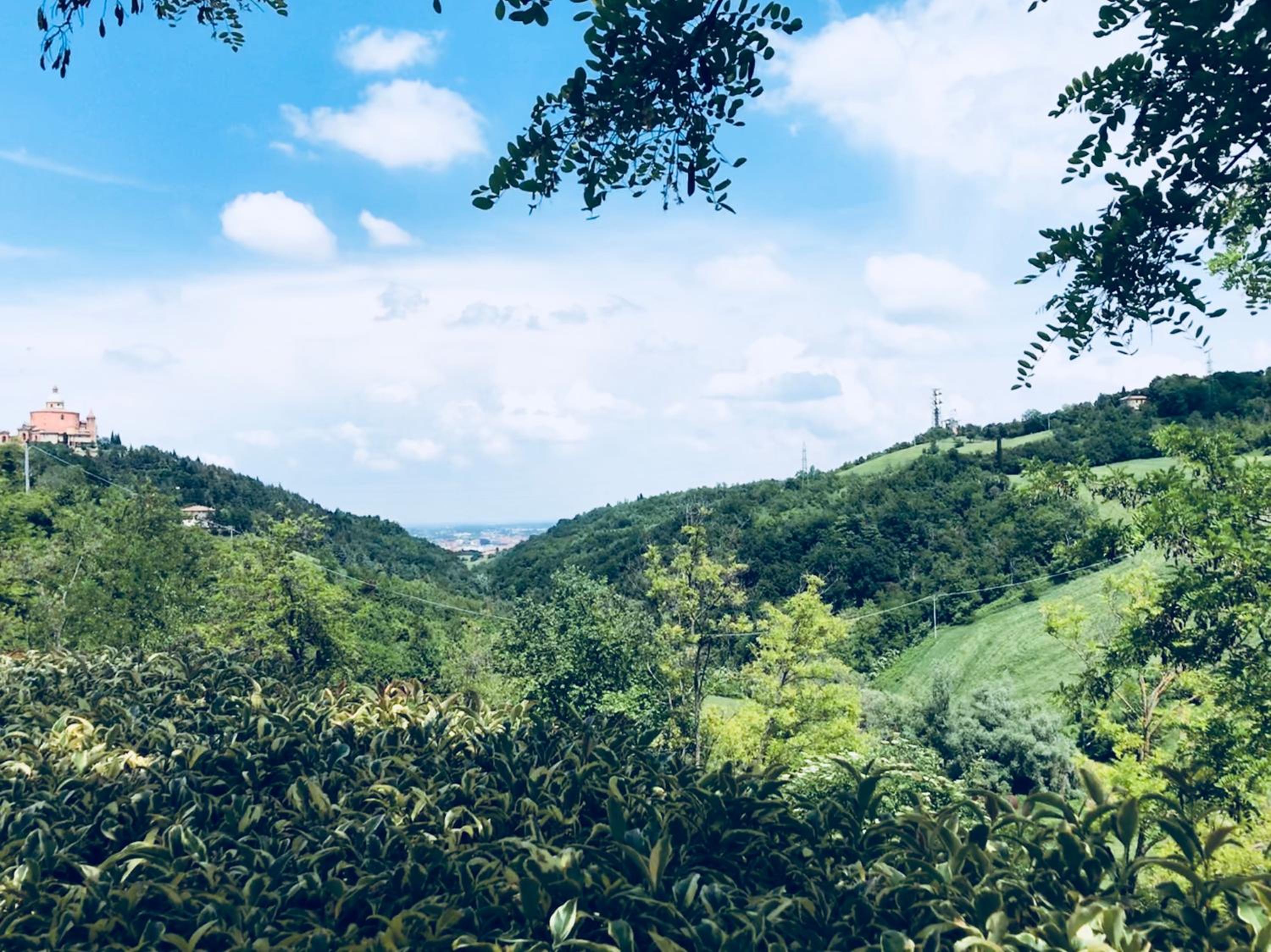 Podere Boschetto R&B view 3