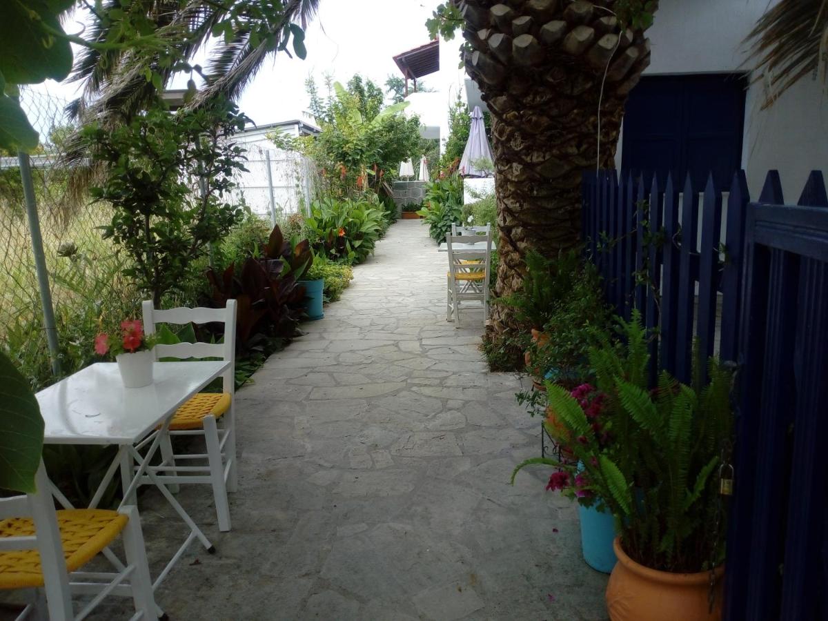 Photo 22